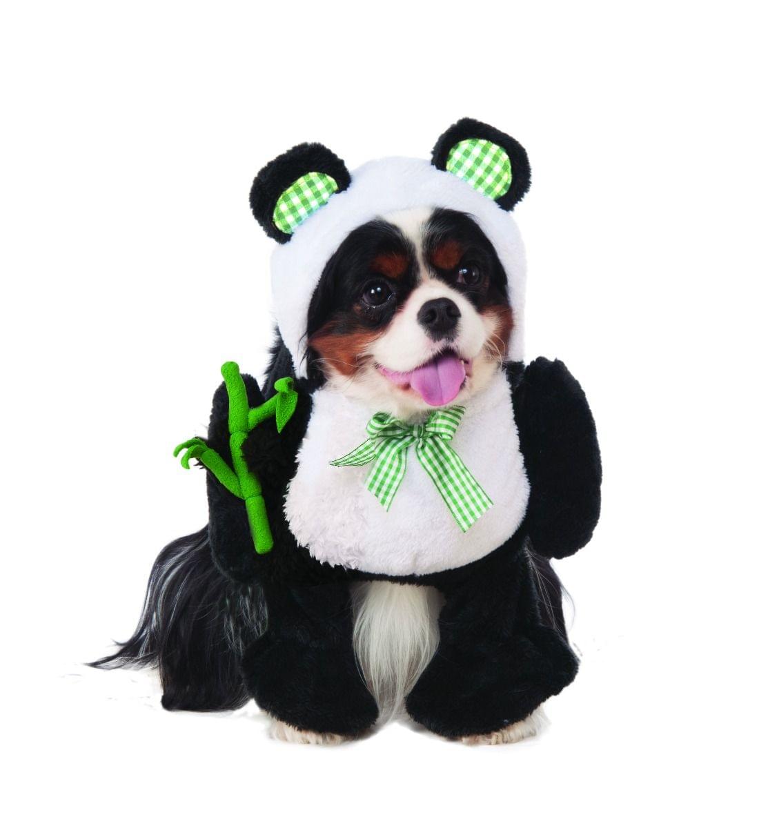 Walking Panda Pet Costume