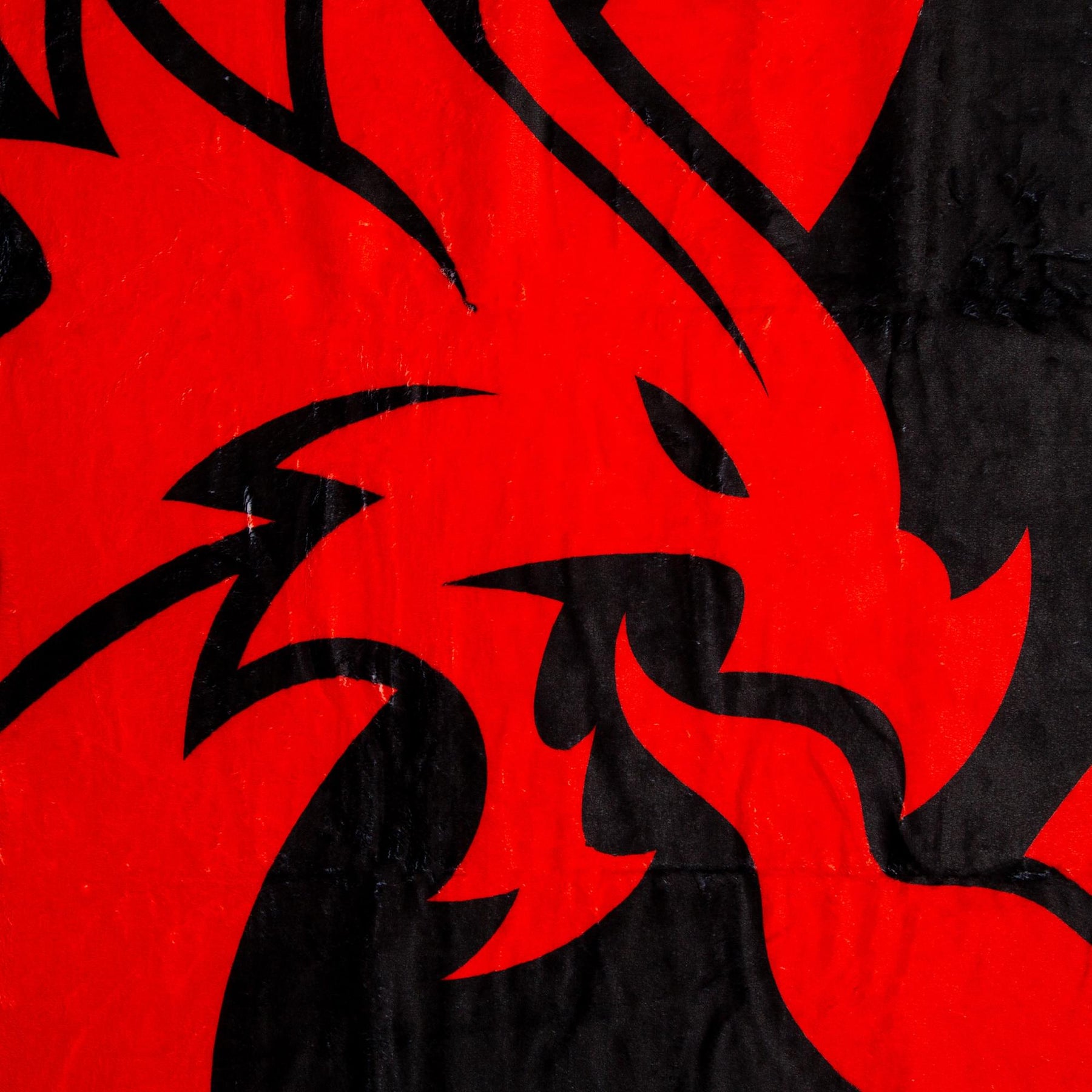 Dungeons & Dragons Logo Fleece Throw Blanket | 45 x 60 Inches