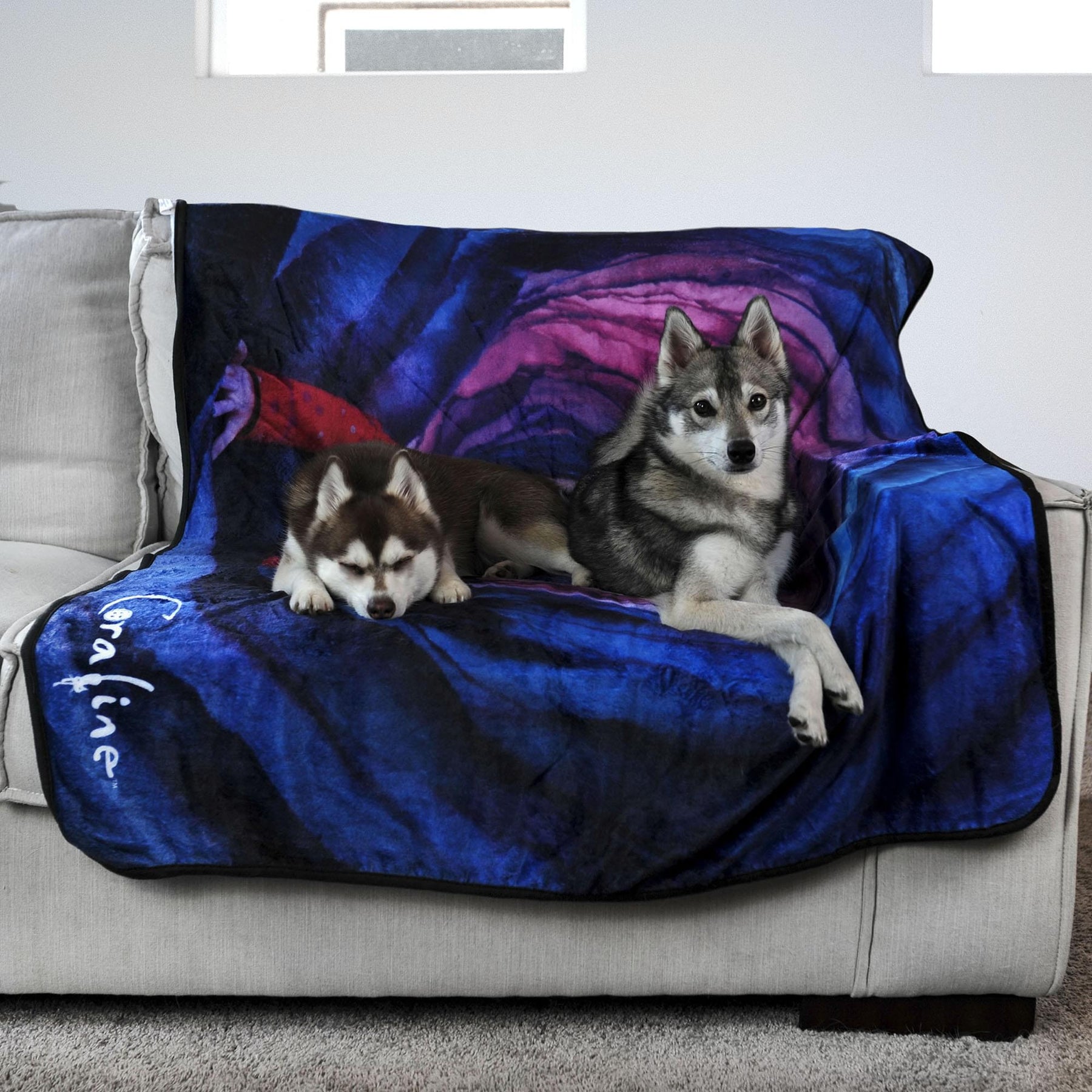 Coraline Fleece Throw Blanket | 45 x 60 Inches