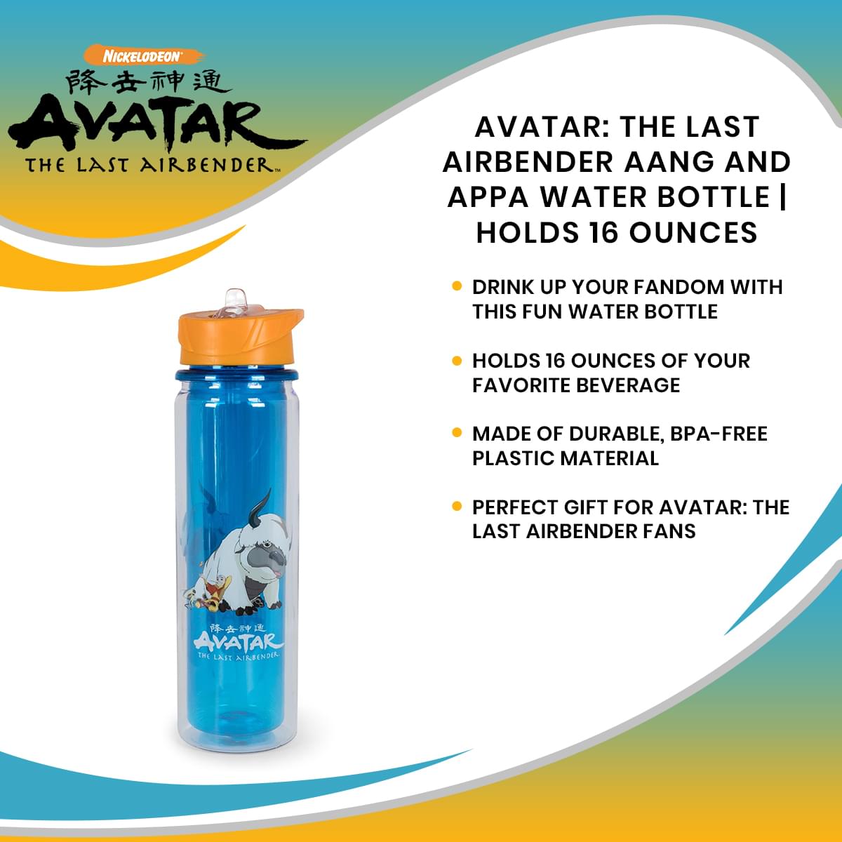 Avatar: The Last Airbender Aang and Appa Water Bottle | Holds 16 Ounces