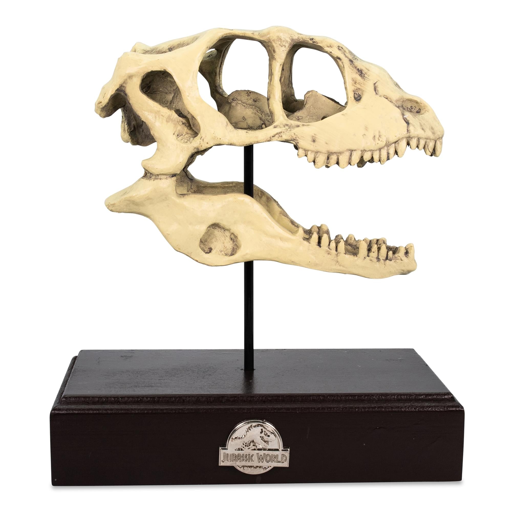 Jurassic Raptor Paper Weight Approx 8.23 x 2.63 x 8” | Free Shipping