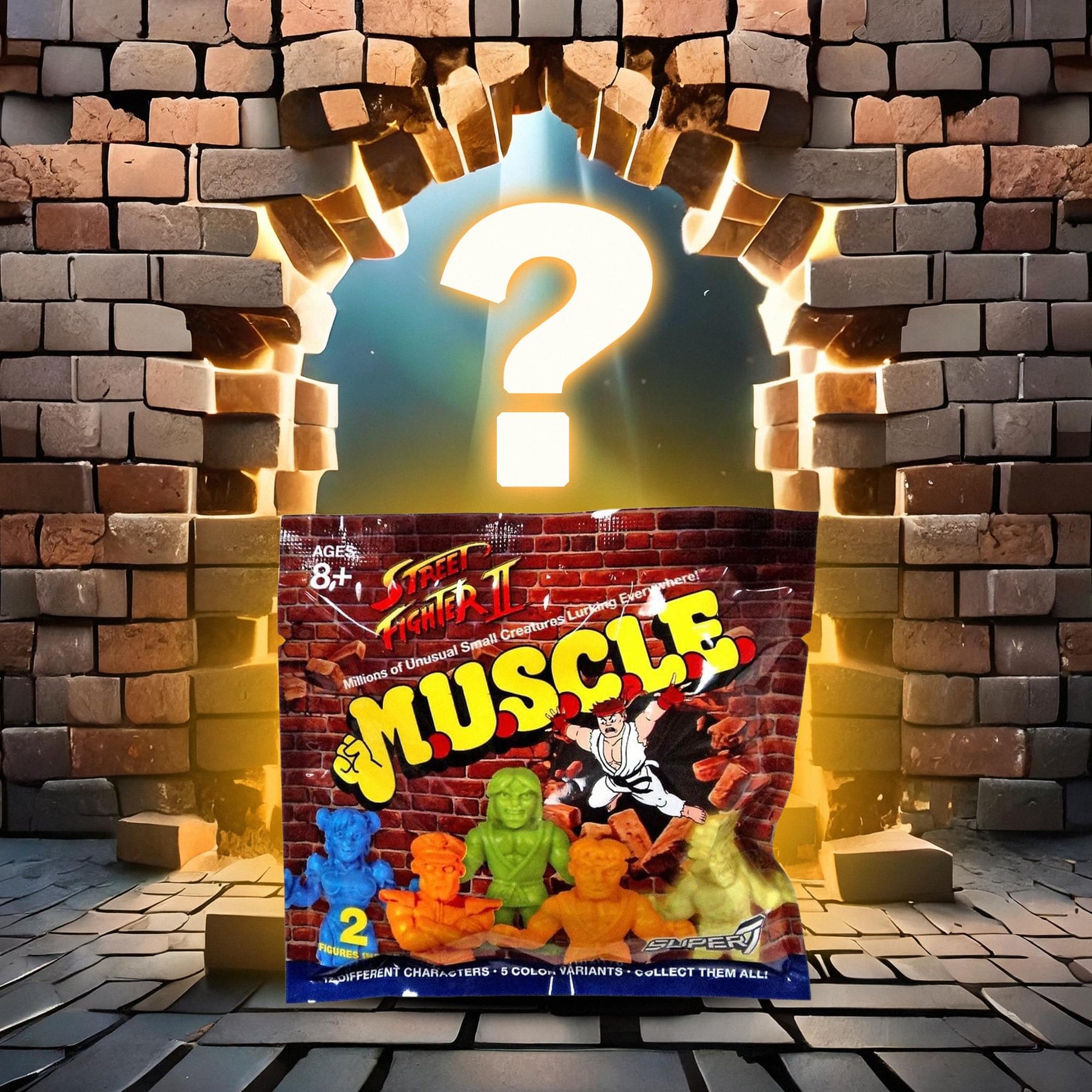 Street Fighter II M.U.S.C.L.E. Mini-Figure Wave 1 | Random 2-Pack