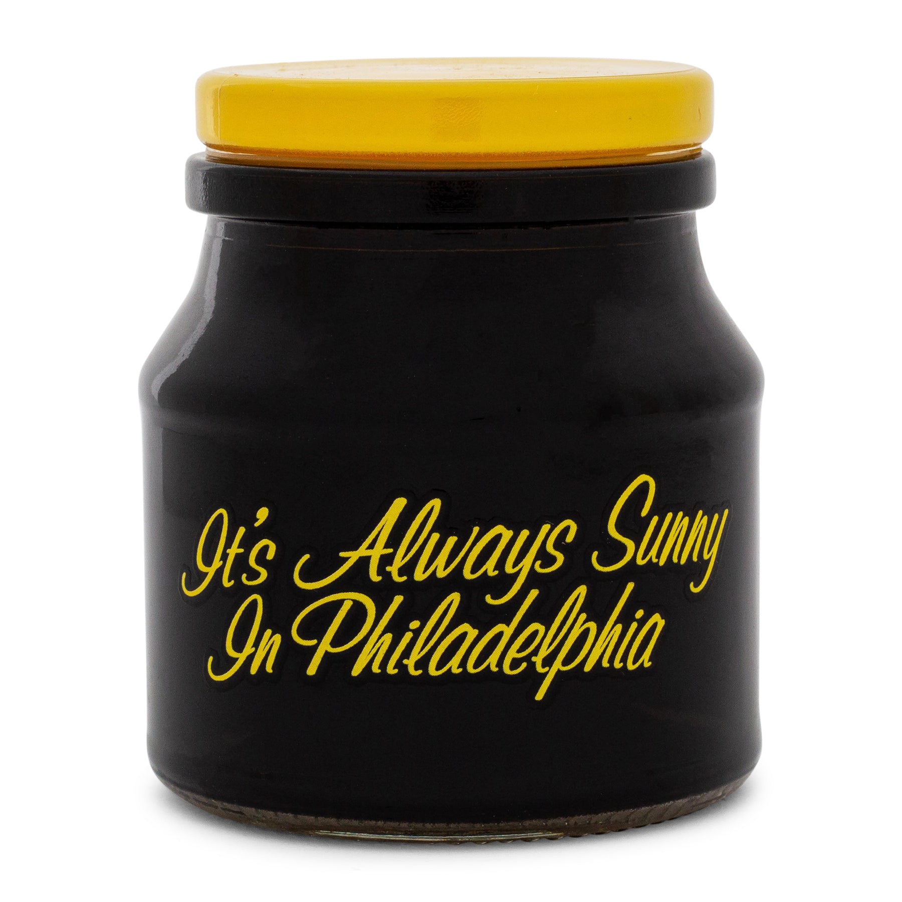 It's Always Sunny In Philadelphia Family Portrait Glass Storage Jar With Lid