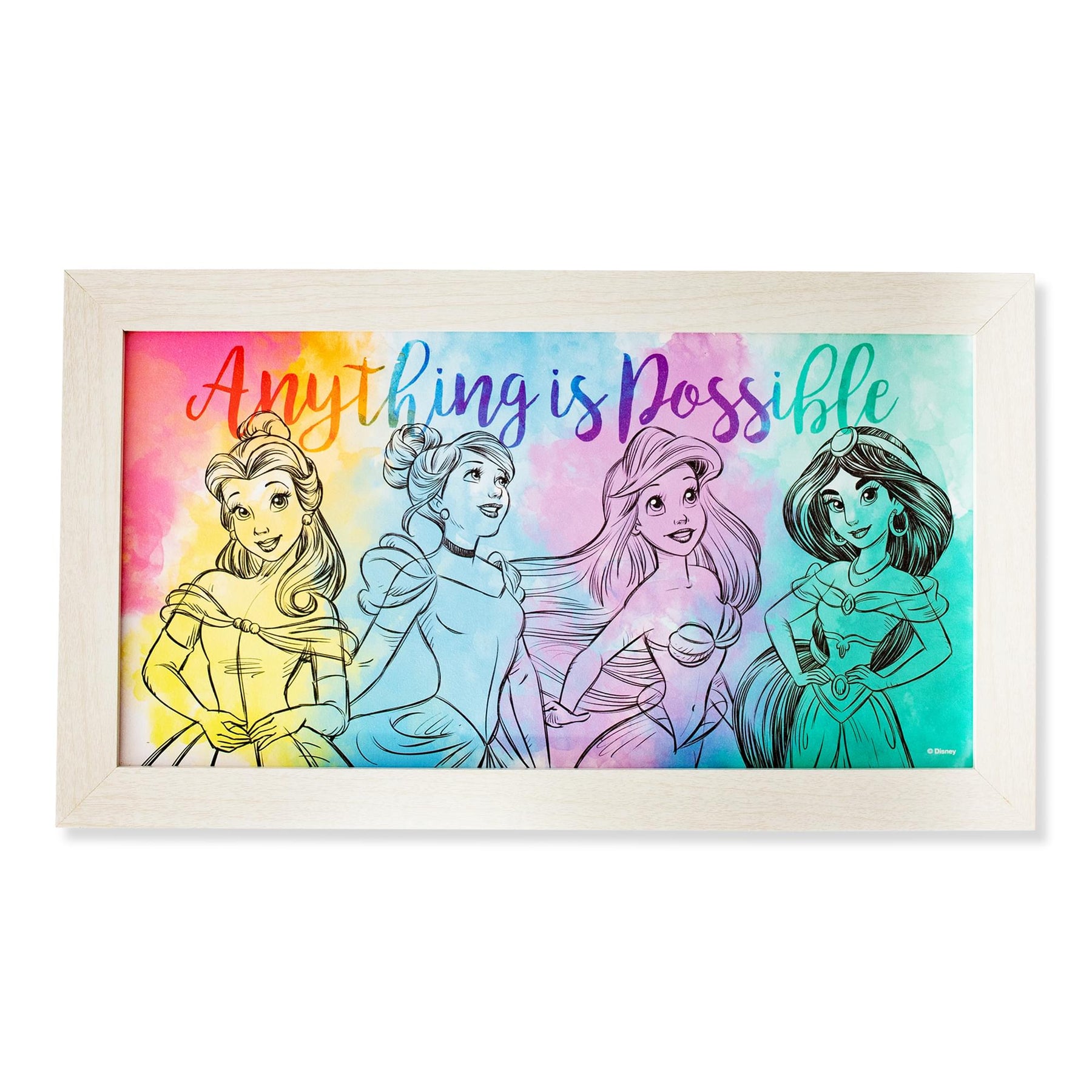 Disney Princess "Anything Is Possible" Wooden Hanging Wall Art | 10 x 18 Inches