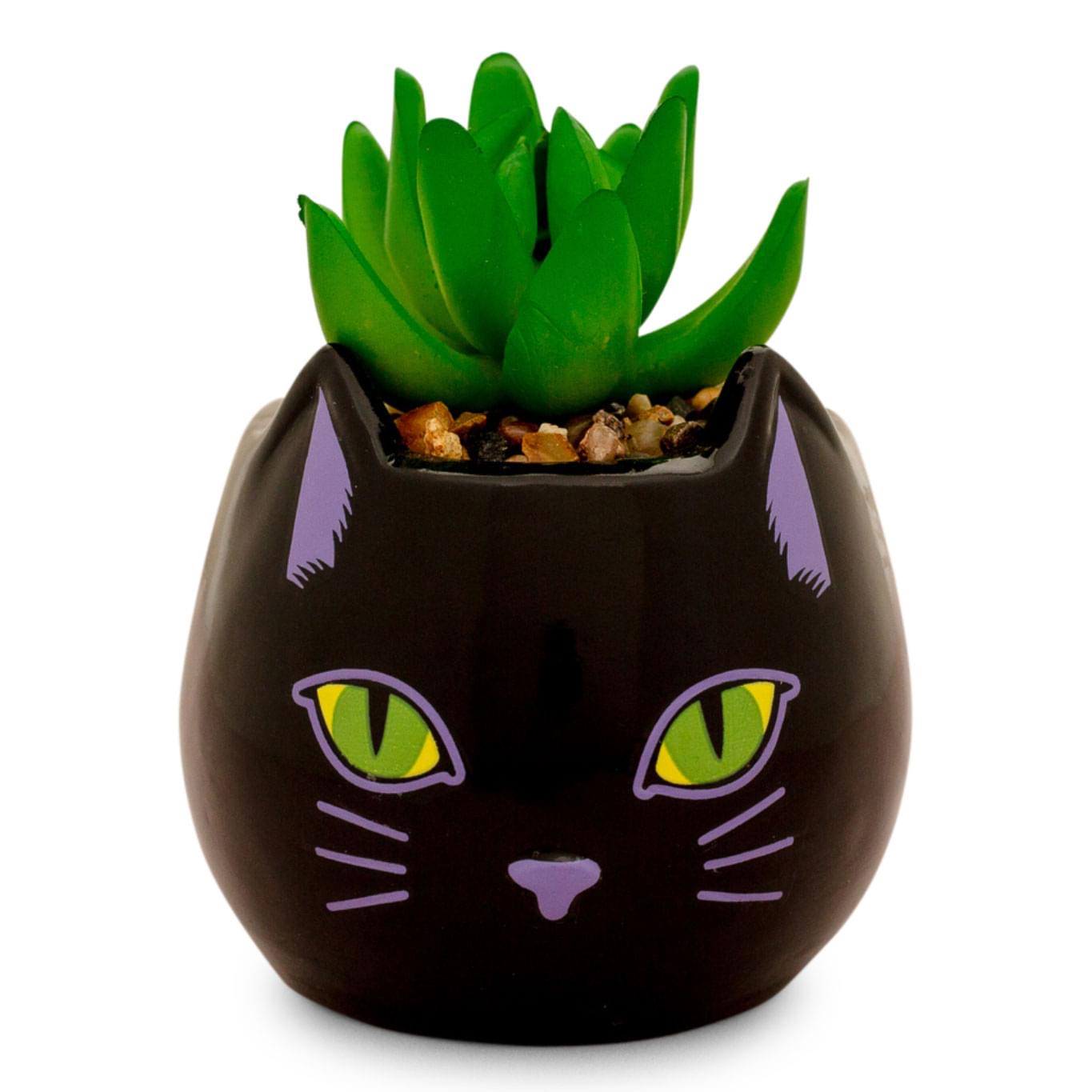 disney succulent pots Disney Hocus Pocus Binx Is My Boo Ceramic Planter with Artificial Succulent