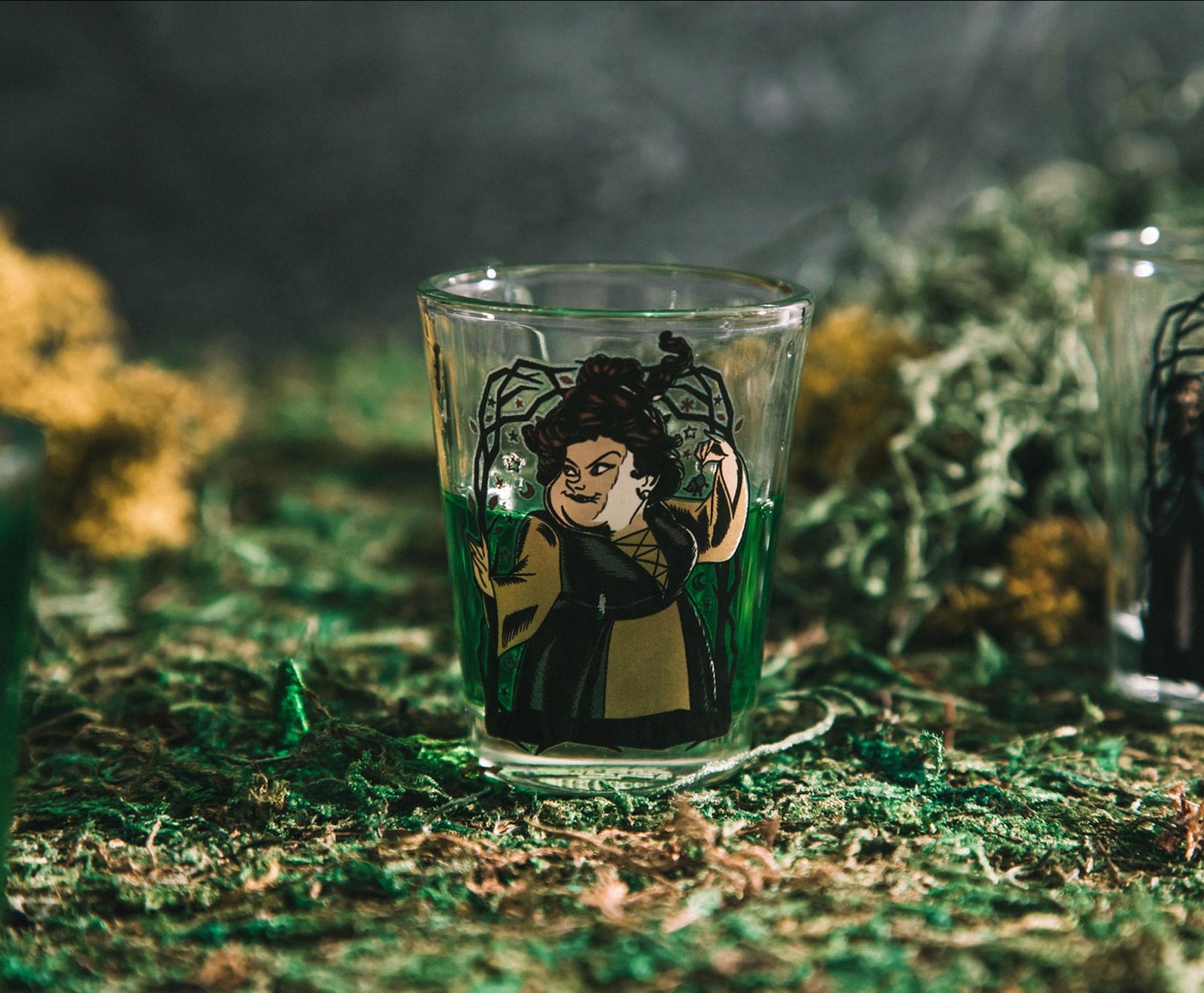 Disney Hocus Pocus Sanderson Sisters Portraits 2-Ounce Shot Glasses | Set of 4