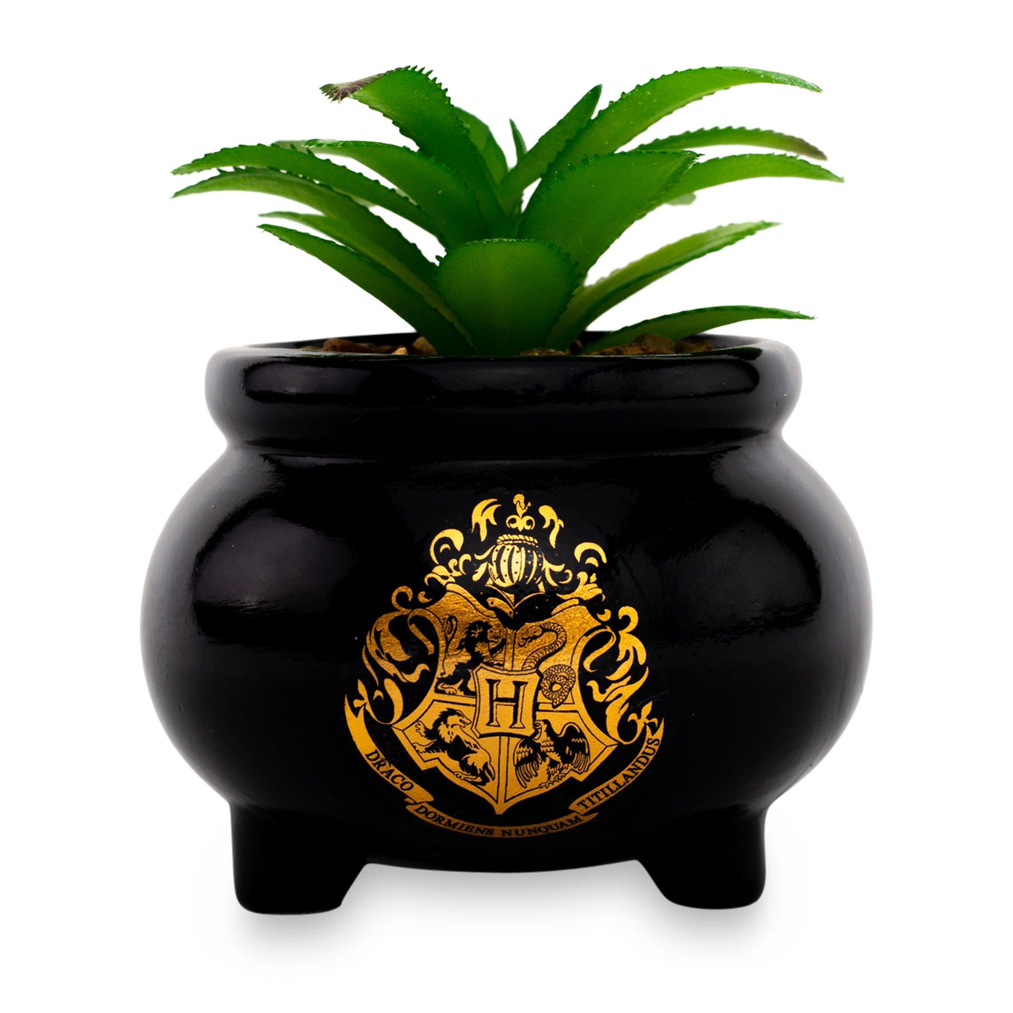 cauldron succulent Harry Potter Cauldron Mini Ceramic Planter