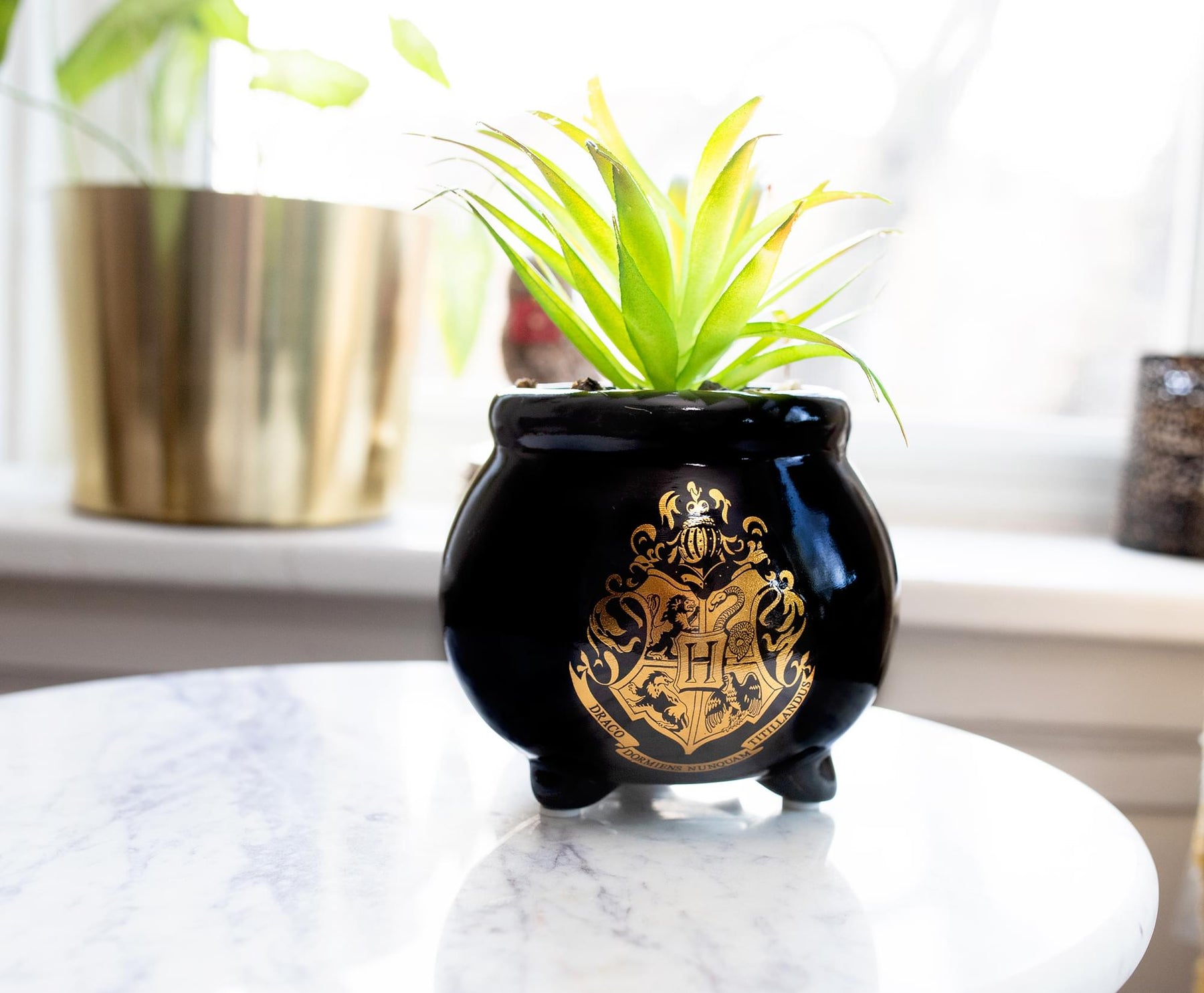 Harry Potter Hogwarts Cauldron 8.25 x 4.5 x 4.5 Inch Ceramic Planter w/ Artificial Plant