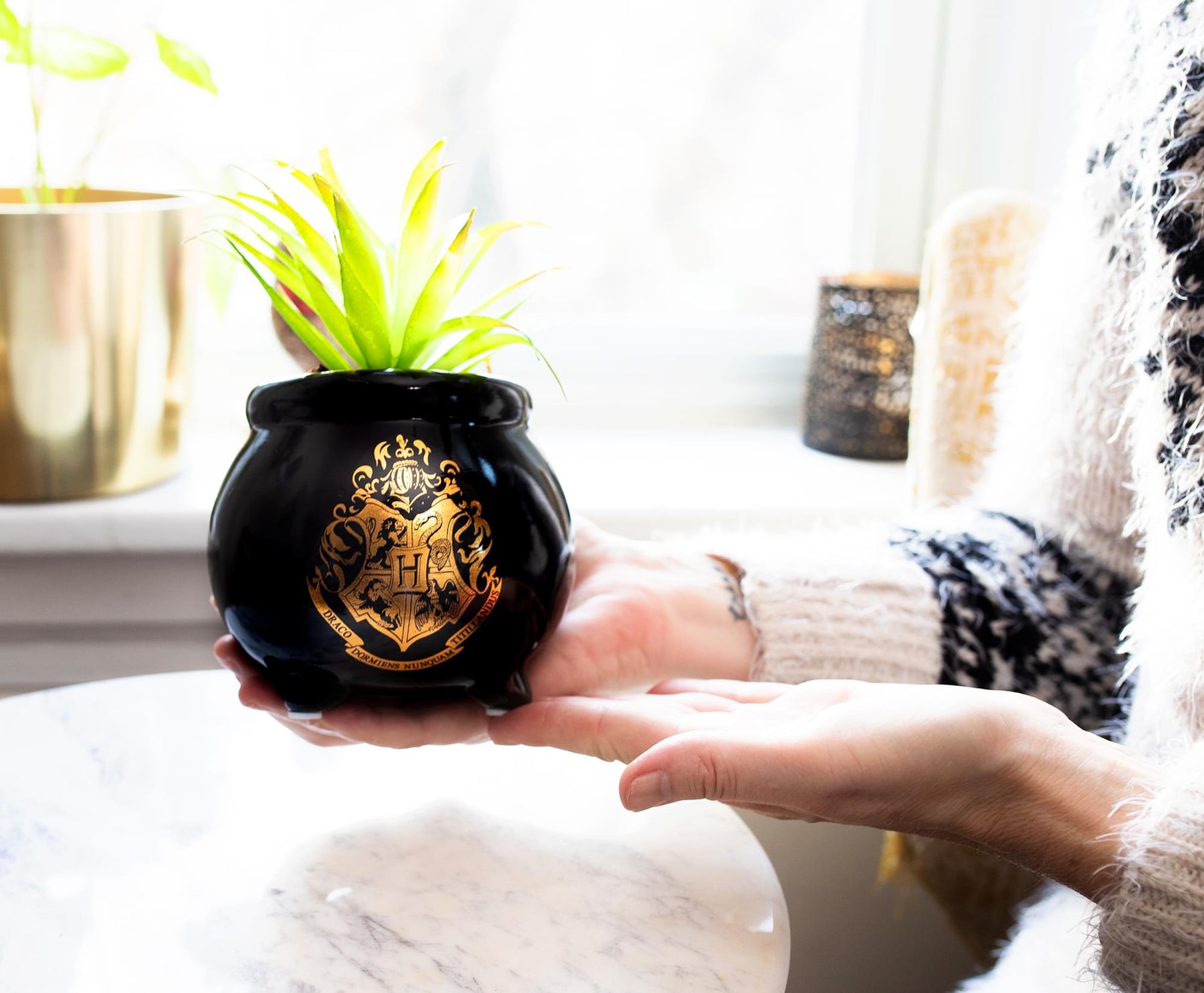 Harry Potter Hogwarts Cauldron 8.25 x 4.5 x 4.5 Inch Ceramic Planter w/ Artificial Plant