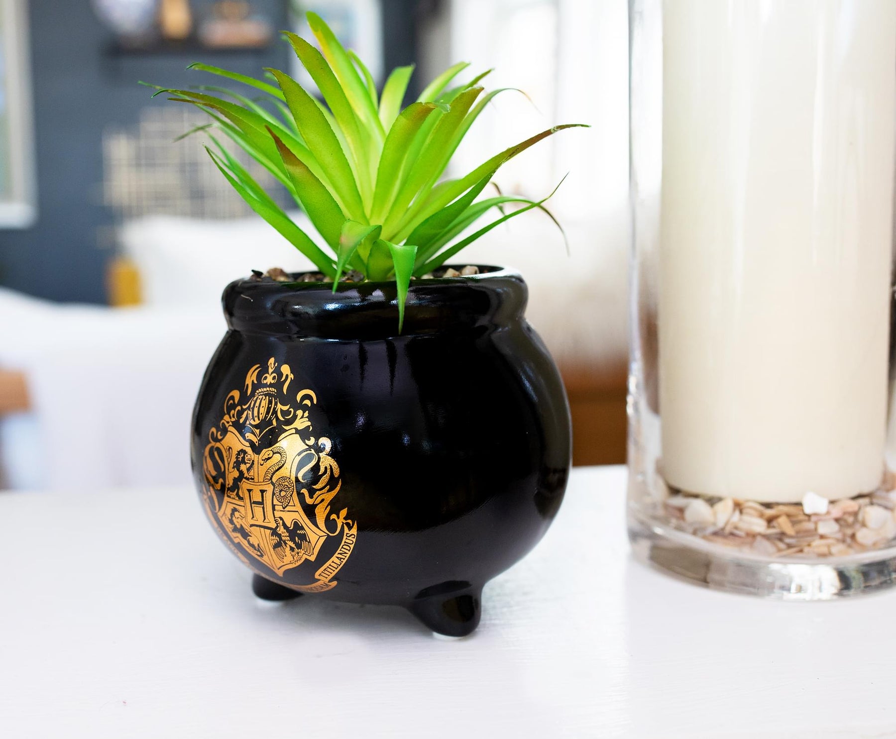 Harry Potter Hogwarts Cauldron 8.25 x 4.5 x 4.5 Inch Ceramic Planter w/ Artificial Plant