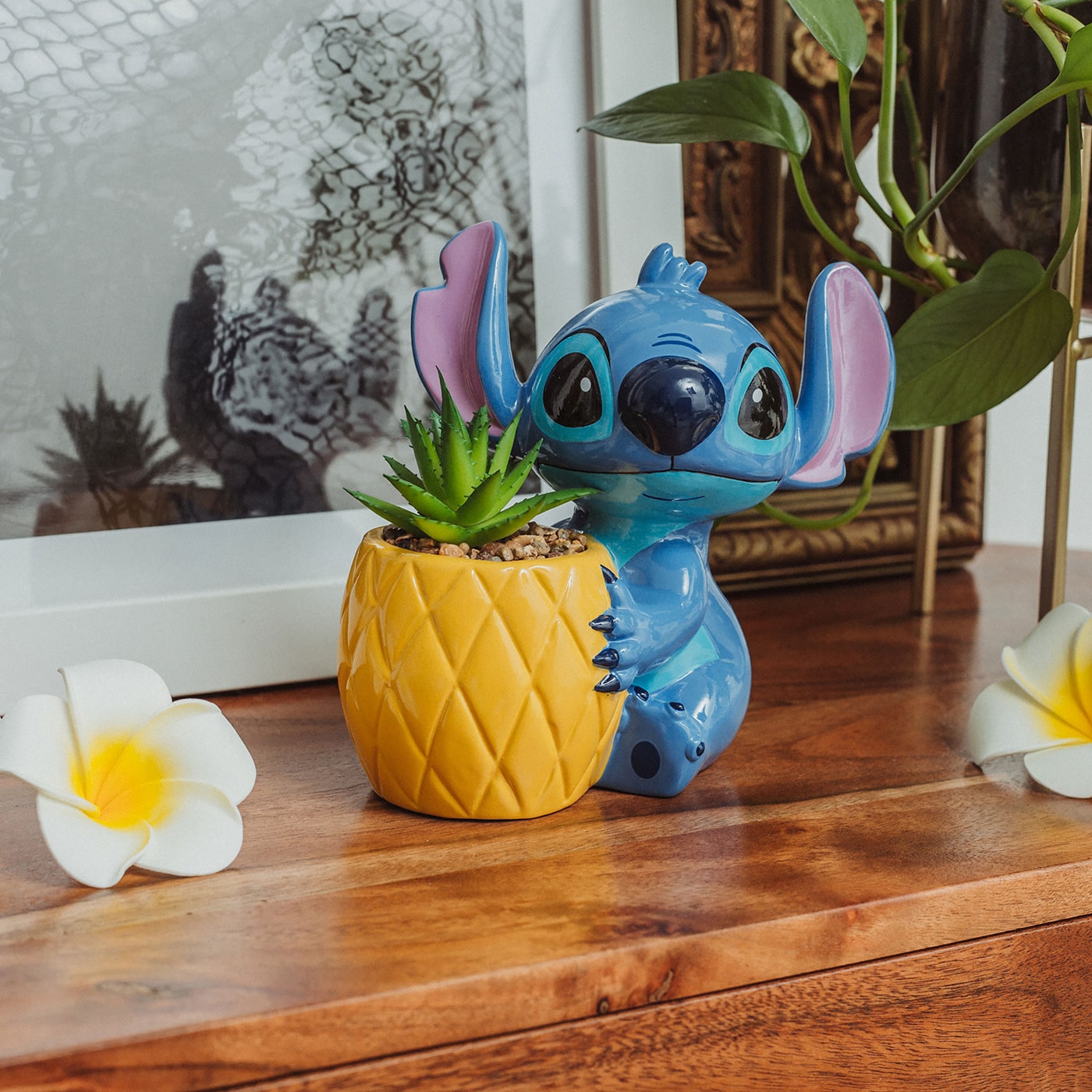 lilo planter