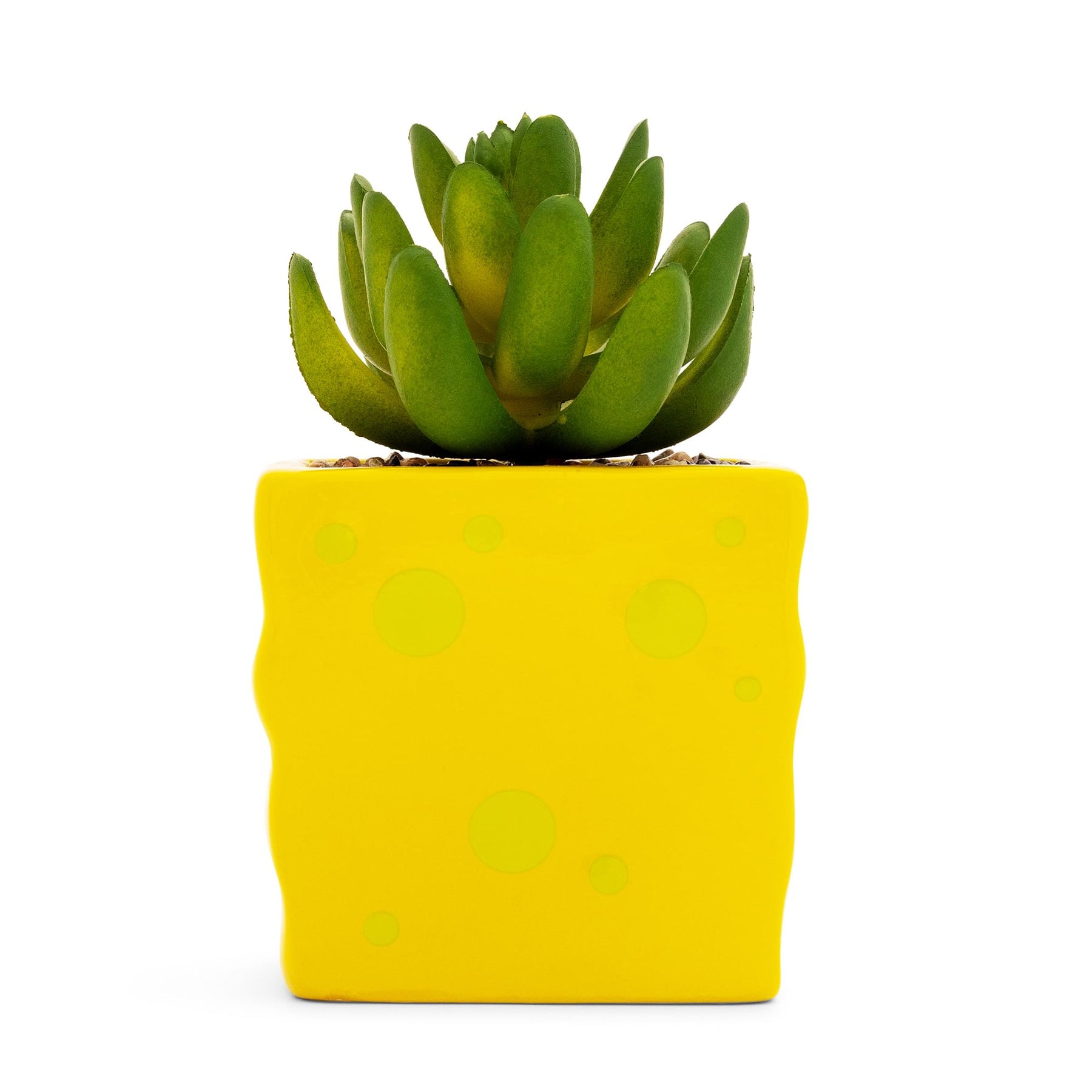 Nickelodeon SpongeBob SquarePants Face Mini Planter With Artificial Succulent