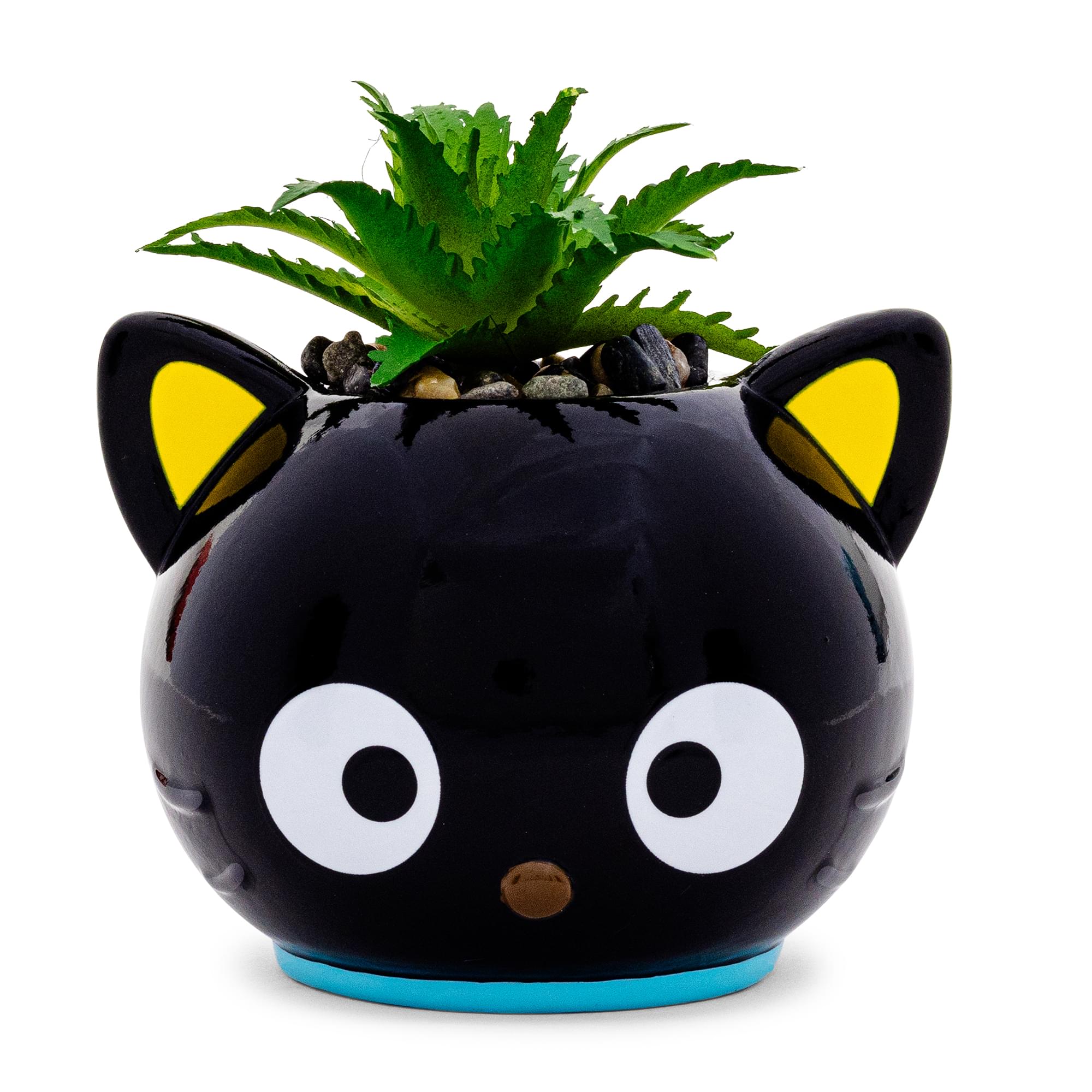 Sanrio Chococat Face Mini Ceramic Planter | Free Shipping