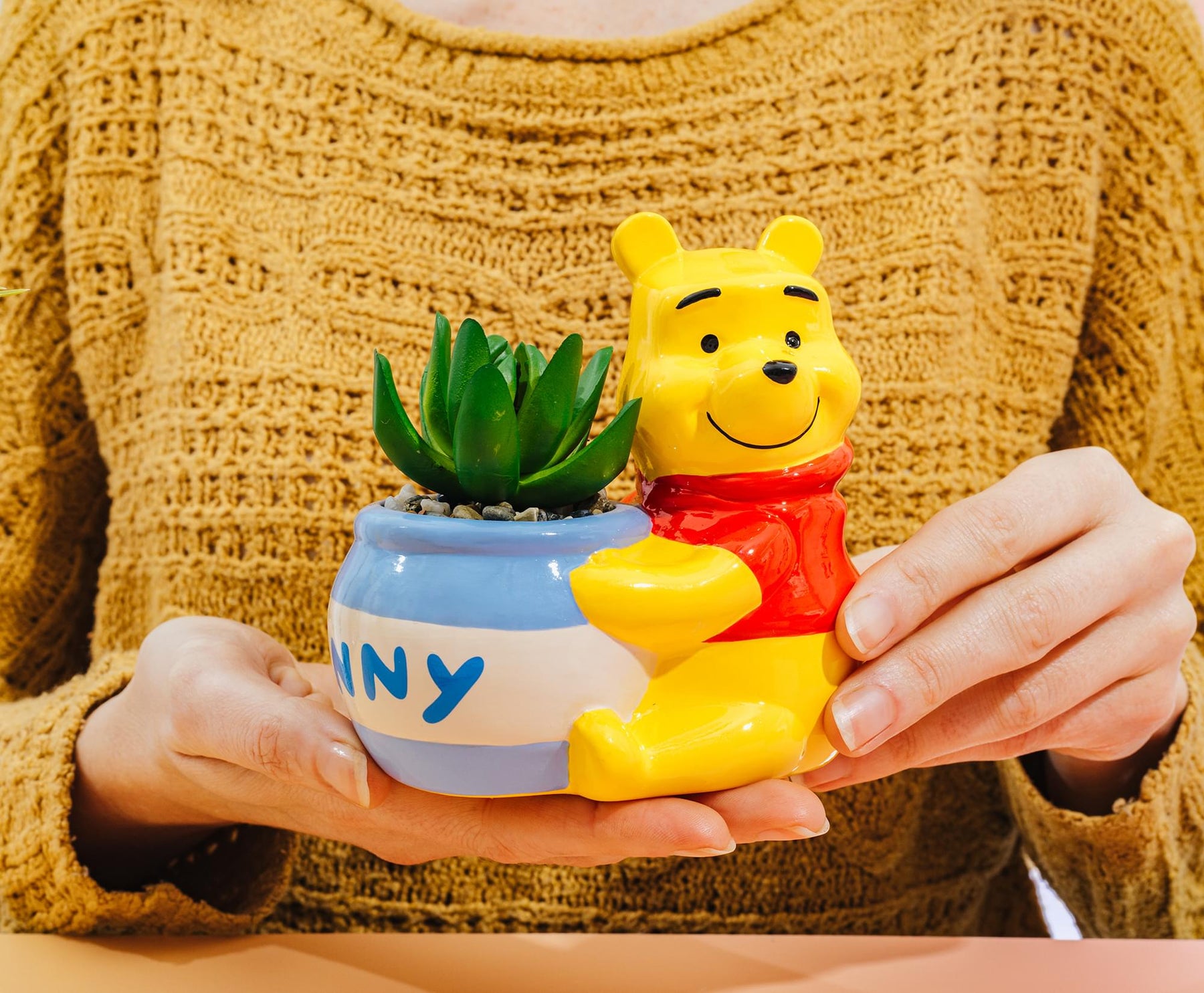 Disney Winnie the Pooh Hunny Pot Ceramic Mini Planter With Artificial Succulent