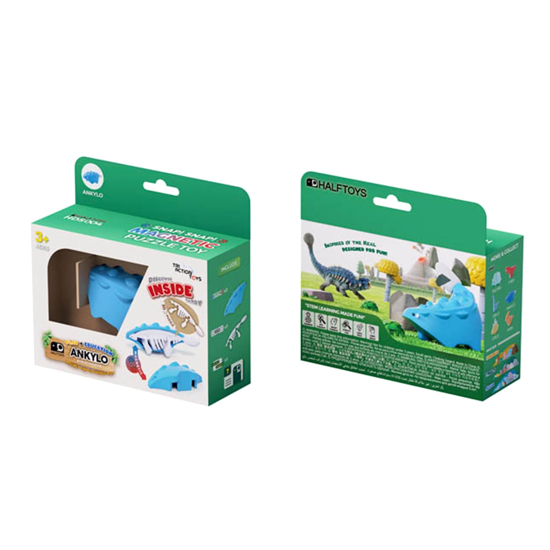Dino Ankylo Magnetic Puzzle Toy