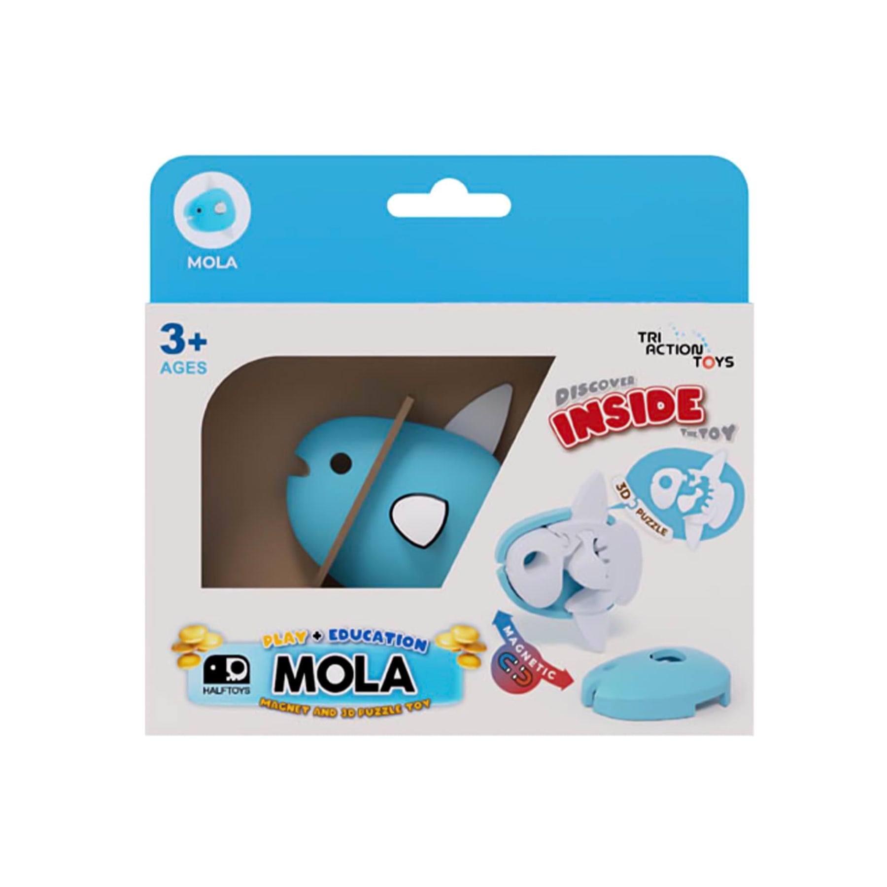 Ocean Mola Magnetic Puzzle Toy