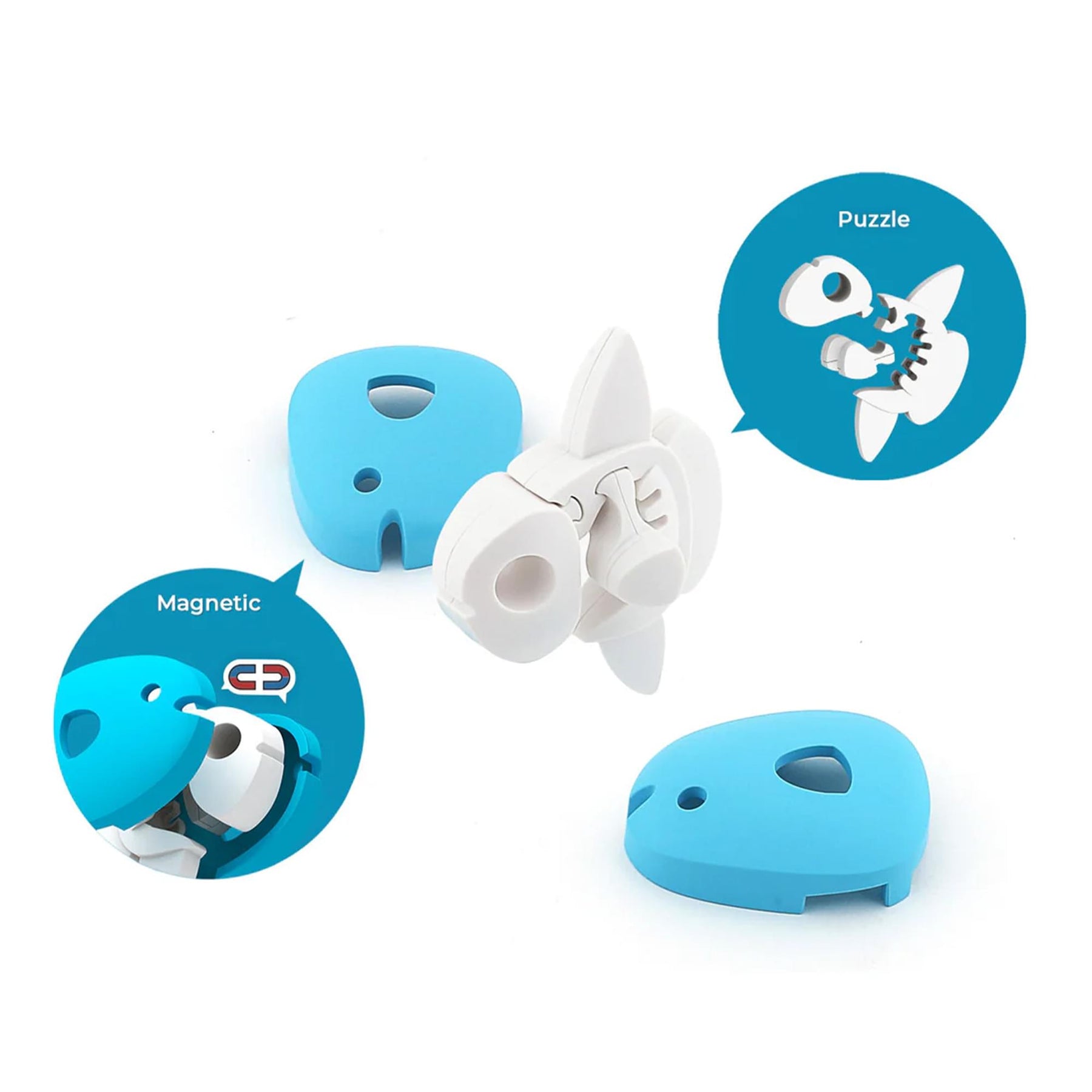 Ocean Mola Magnetic Puzzle Toy
