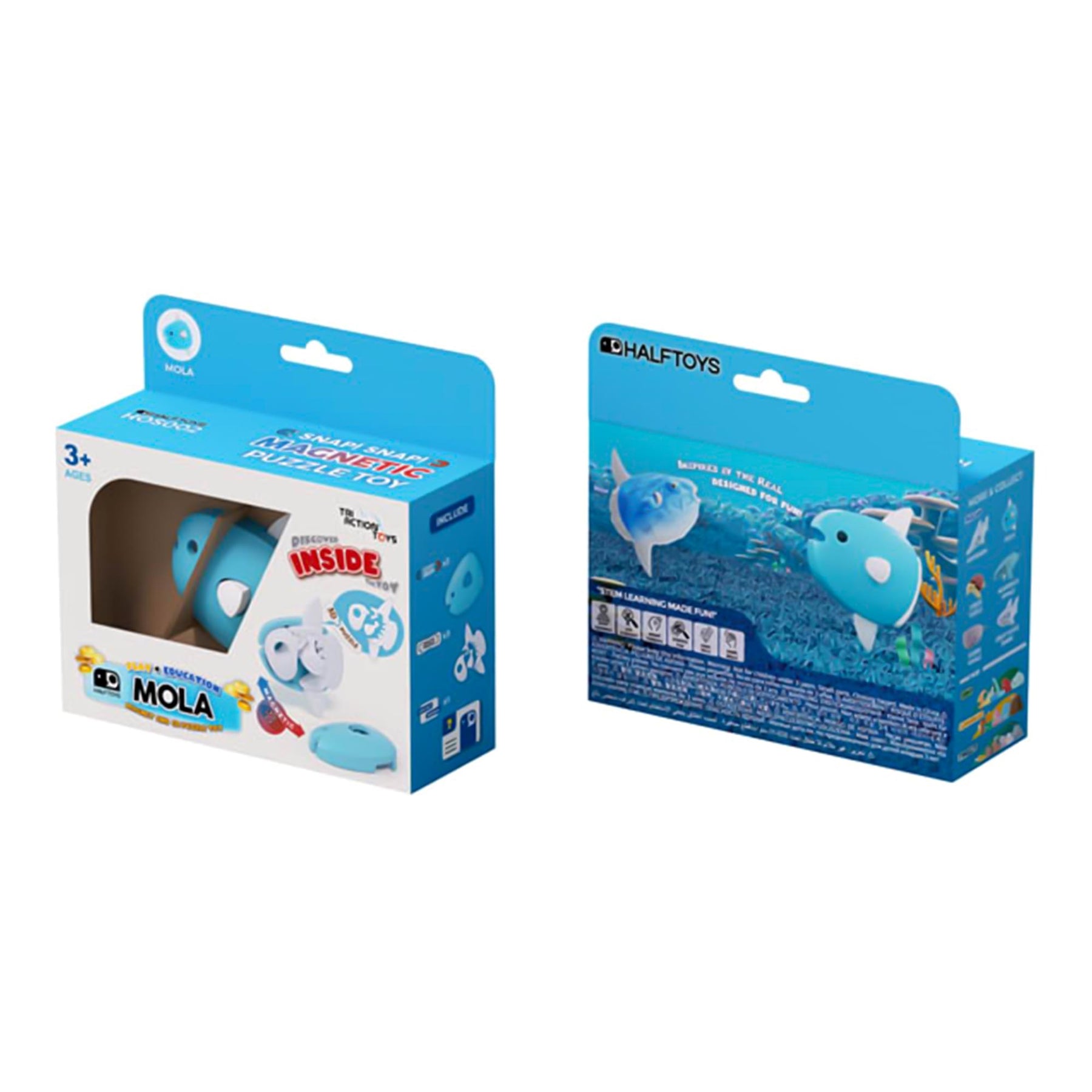 Ocean Mola Magnetic Puzzle Toy