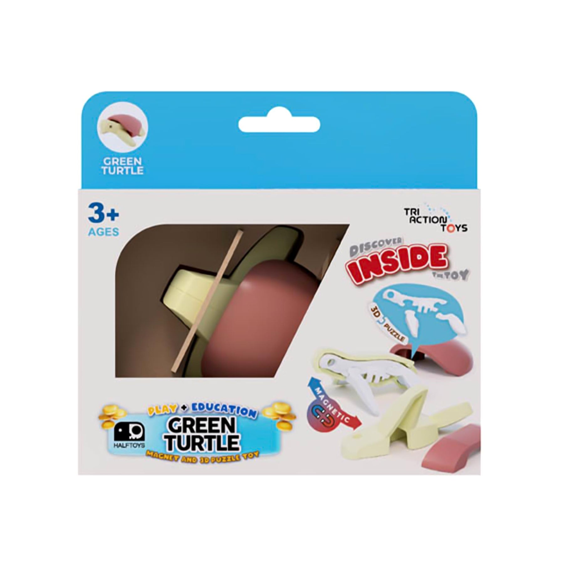 Ocean Green Turtle Magnetic Puzzle Toy