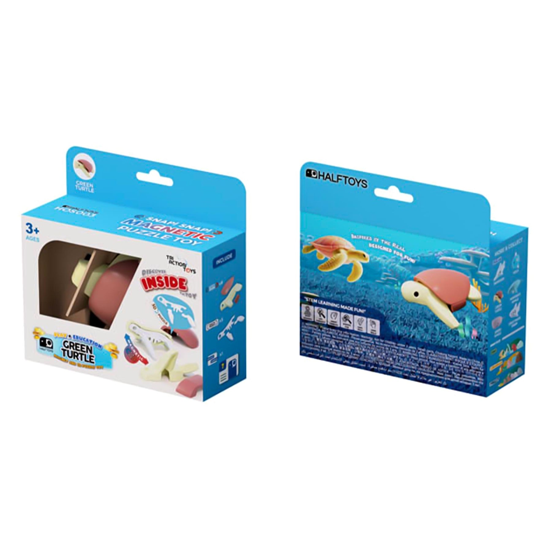 Ocean Green Turtle Magnetic Puzzle Toy