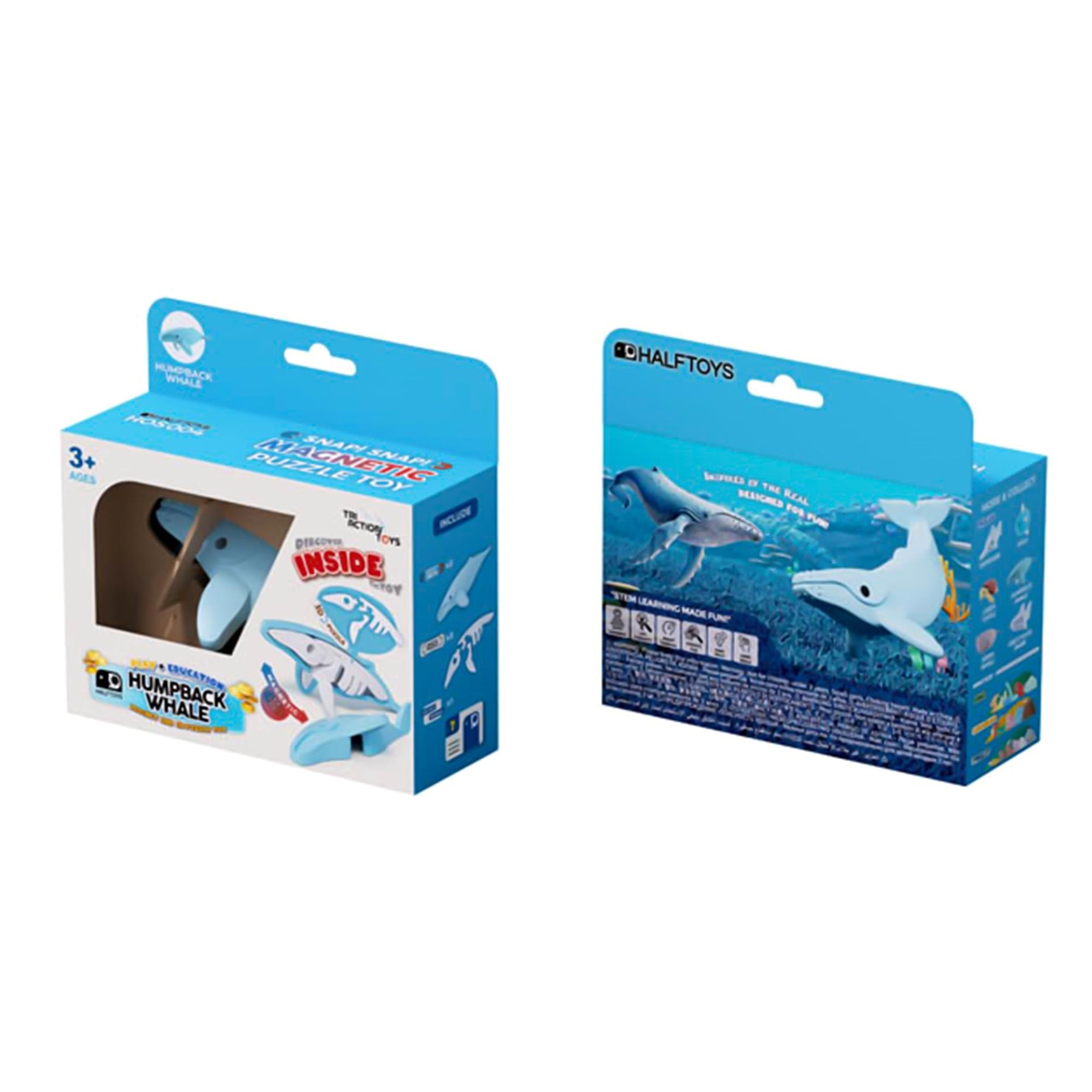 Ocean Humpback Whale Magnetic Puzzle Toy