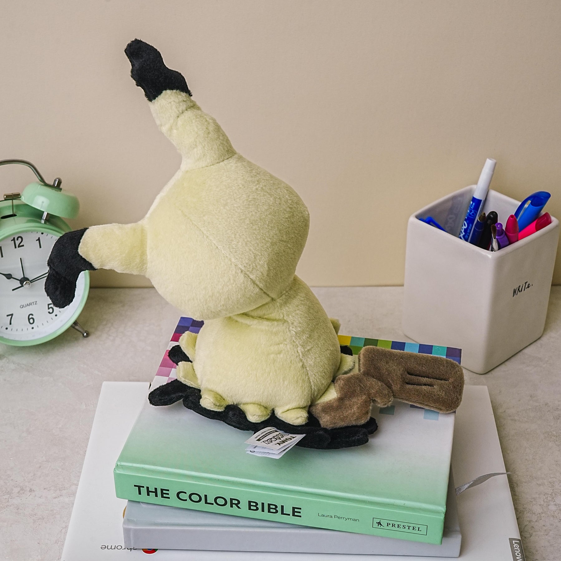 Pokemon 8 Inch Collector Plush | Mimikyu