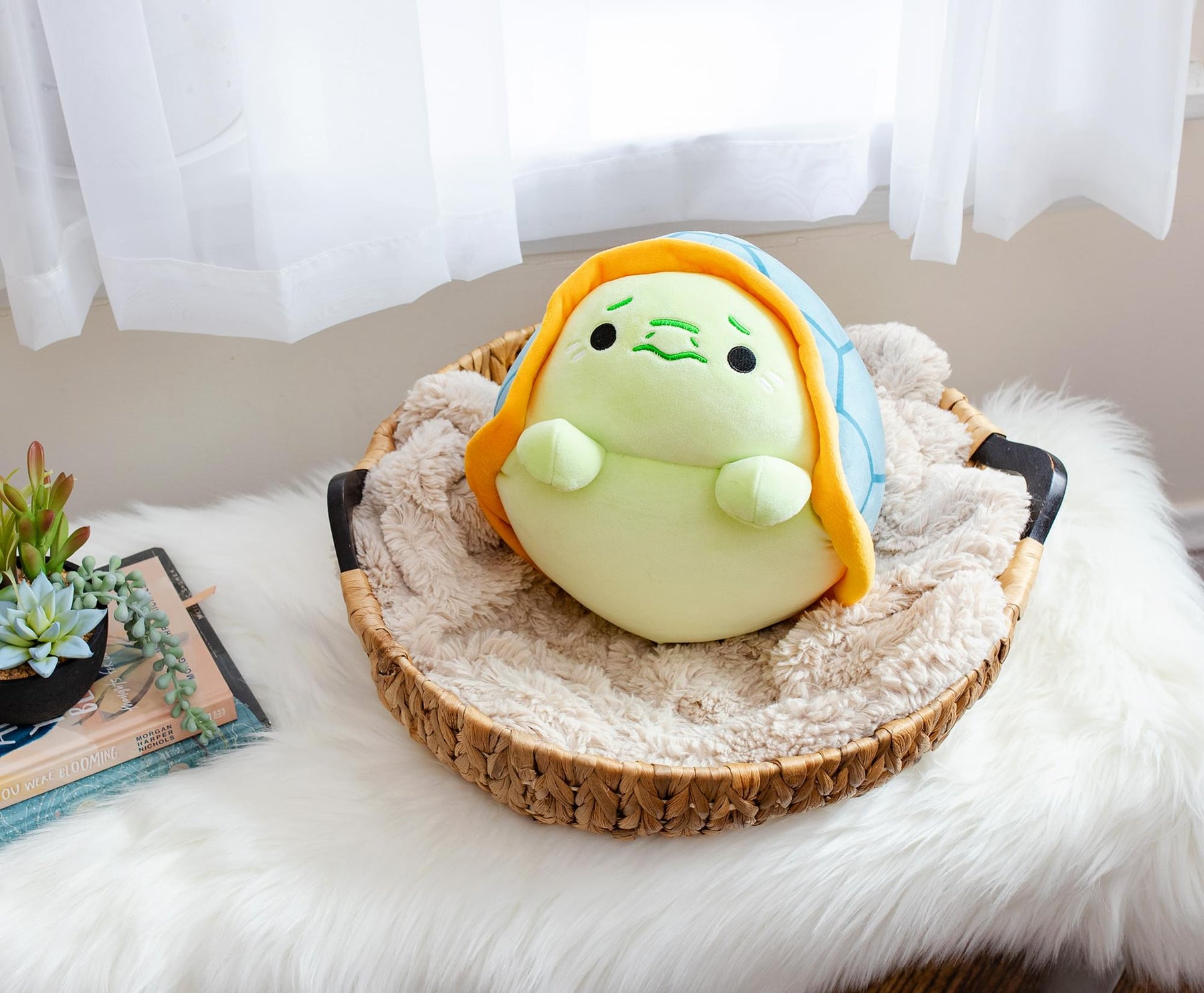 MochiOshis Turtle 12-Inch Character Plush Toy | Jinba Osoioshi