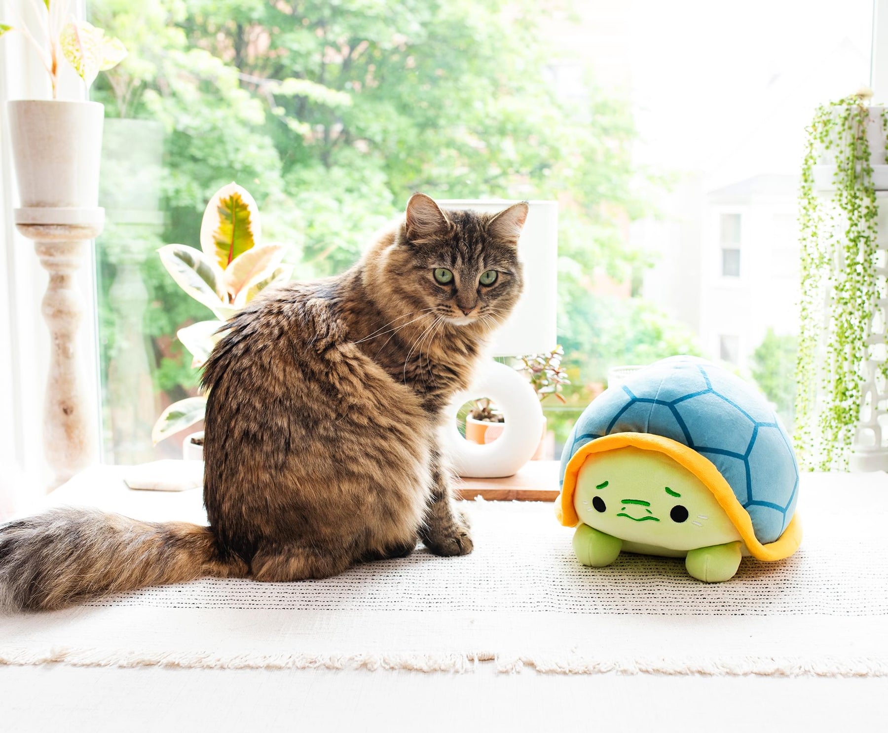 MochiOshis Turtle 12-Inch Character Plush Toy | Jinba Osoioshi