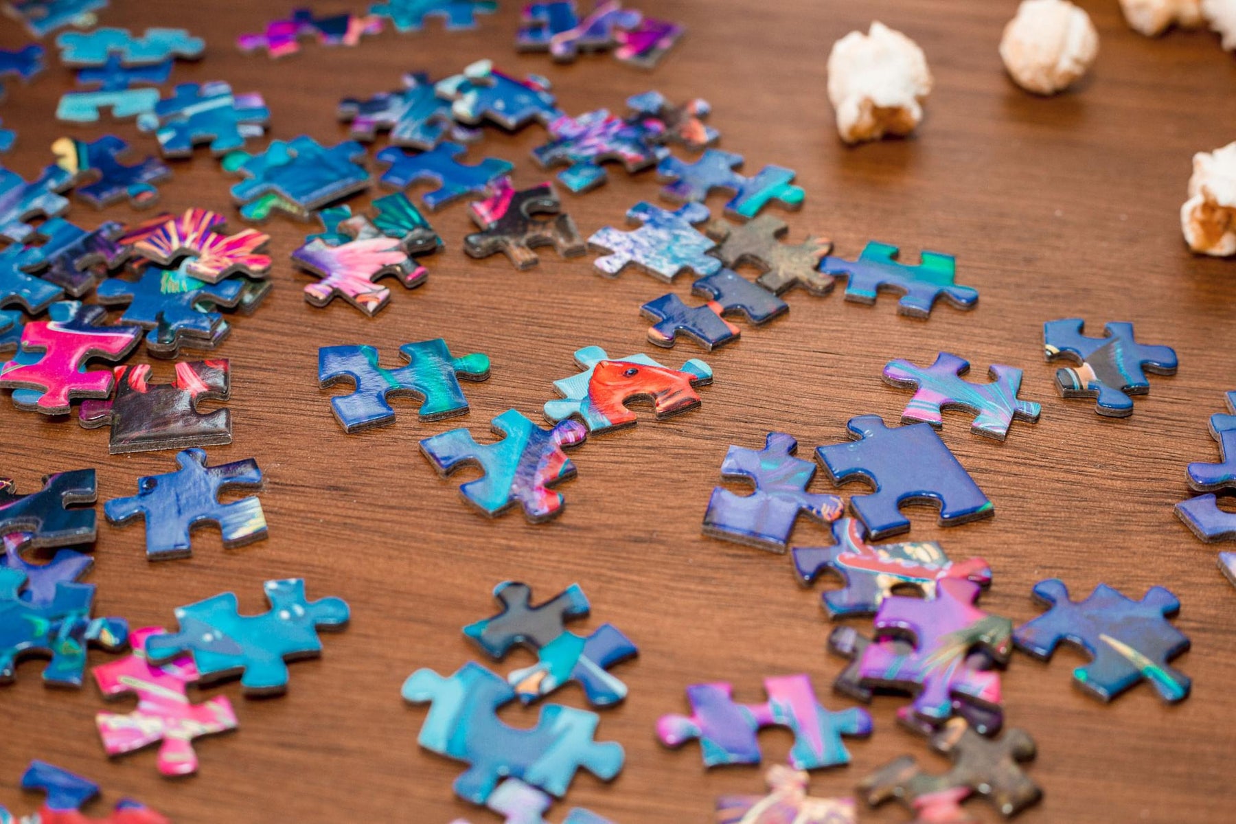 A Dolphin's Paradise Ocean Puzzle For Adults And Kids | 1000 Piece Jigsaw Puzzle