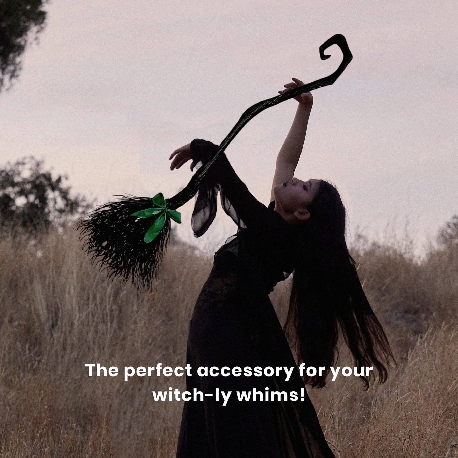 Witch Broom Black Costume Accessory