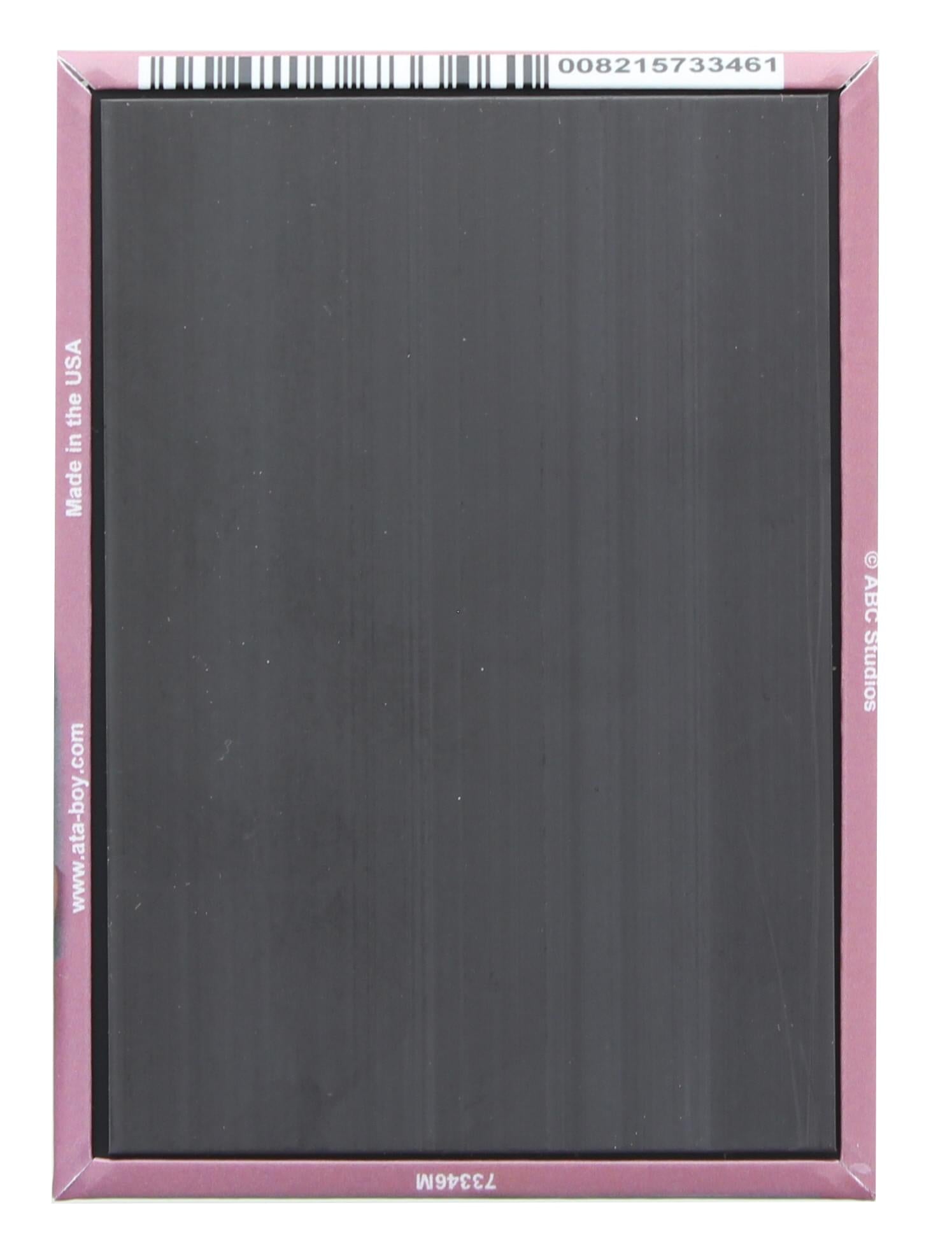 Scrubs Turk Pink Background 2.5 x 3.5 Inch Photo Magnet