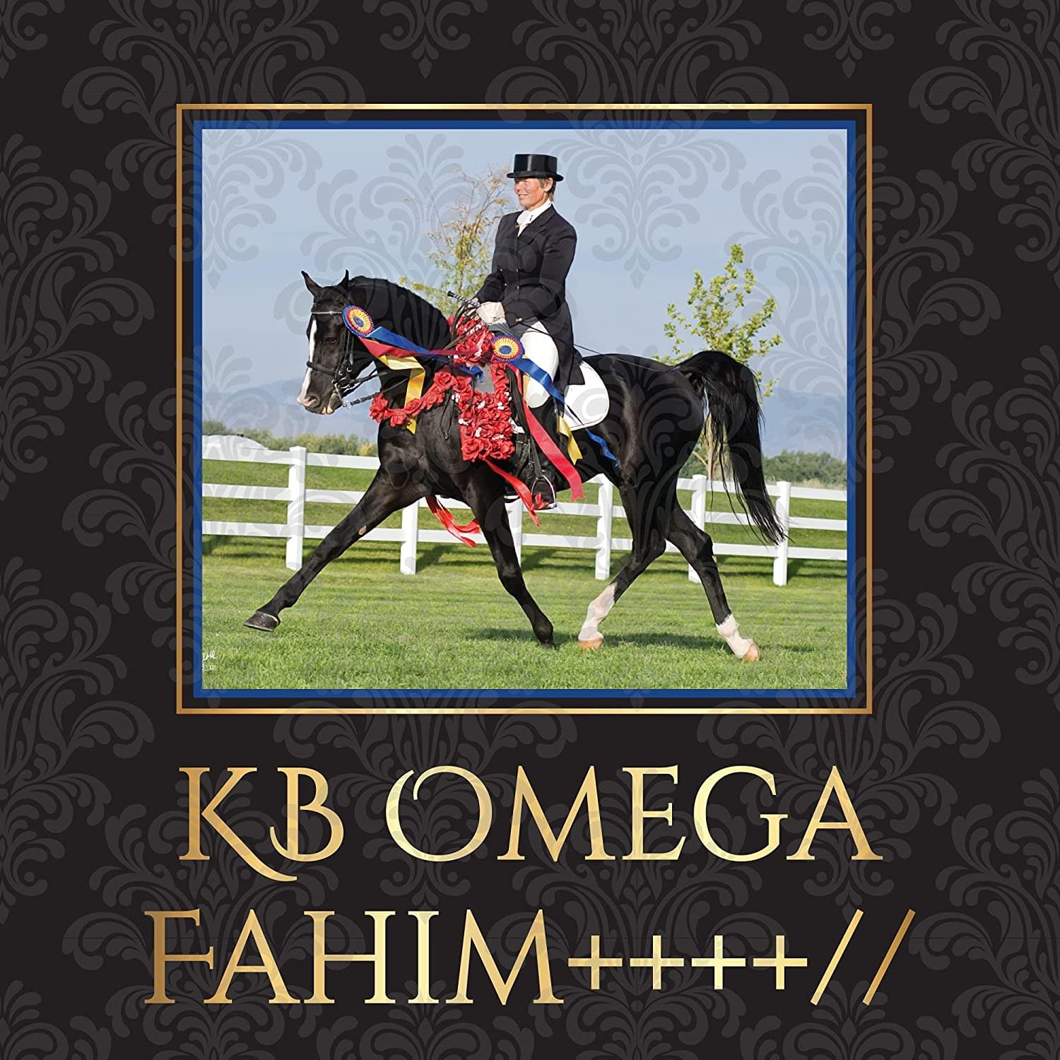 Breyer Traditional 1:9 Scale Model Horse | KB Omega Fahim