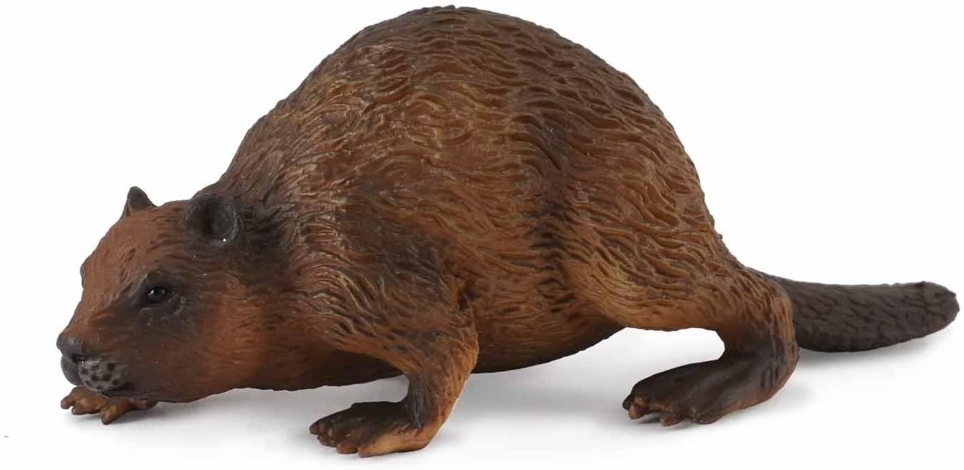 CollectA Wildlife Collection Miniature Figure | Woodlands Beaver
