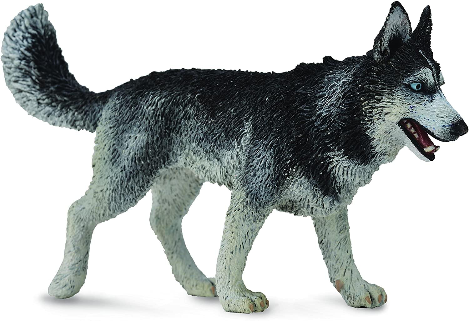 CollectA Cats & Dogs Collection Miniature Figure | Siberian Husky