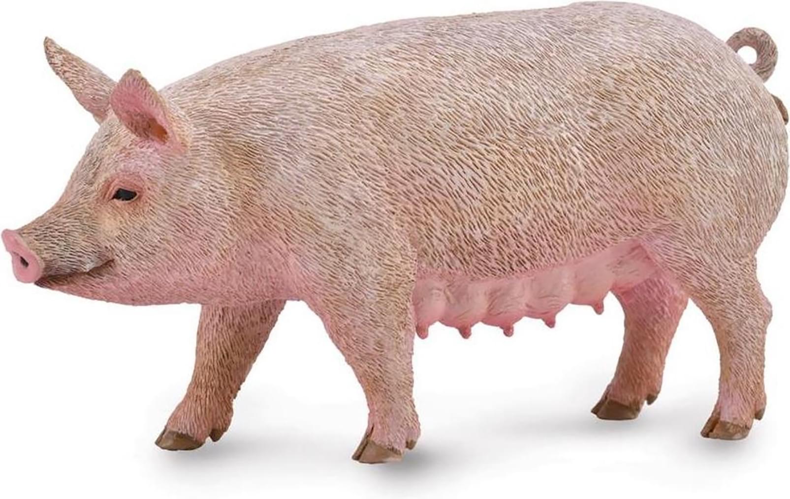 CollectA Farm Life Collection Miniature Figure | Sow