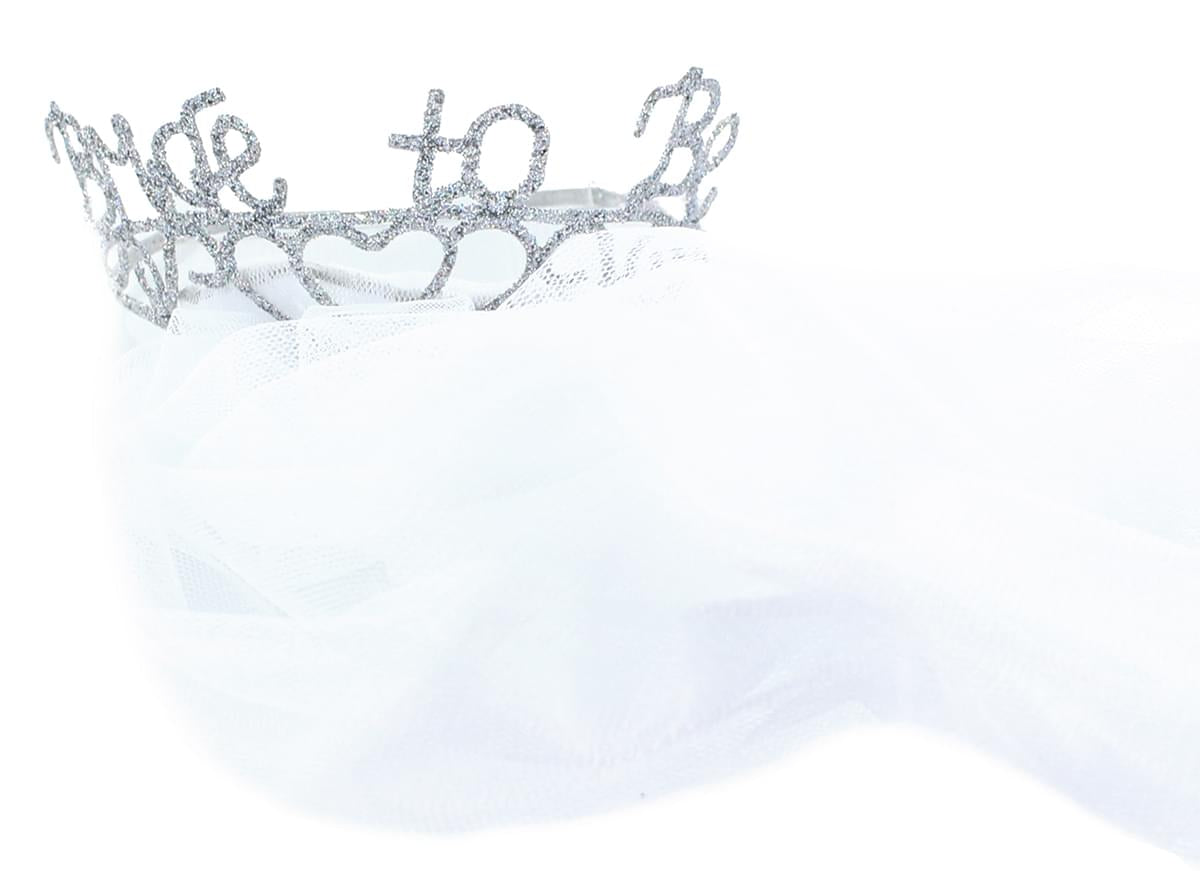Bride to Be Veil & Sparkle Tiara