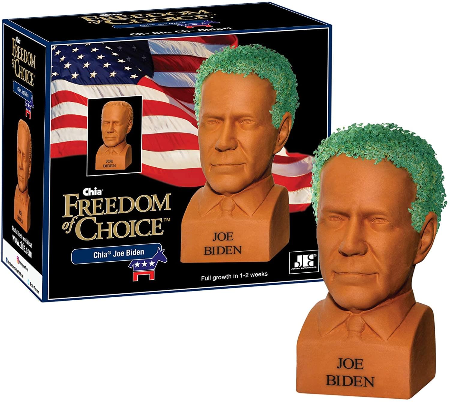Joe Biden Chia Pet Decorative Planter