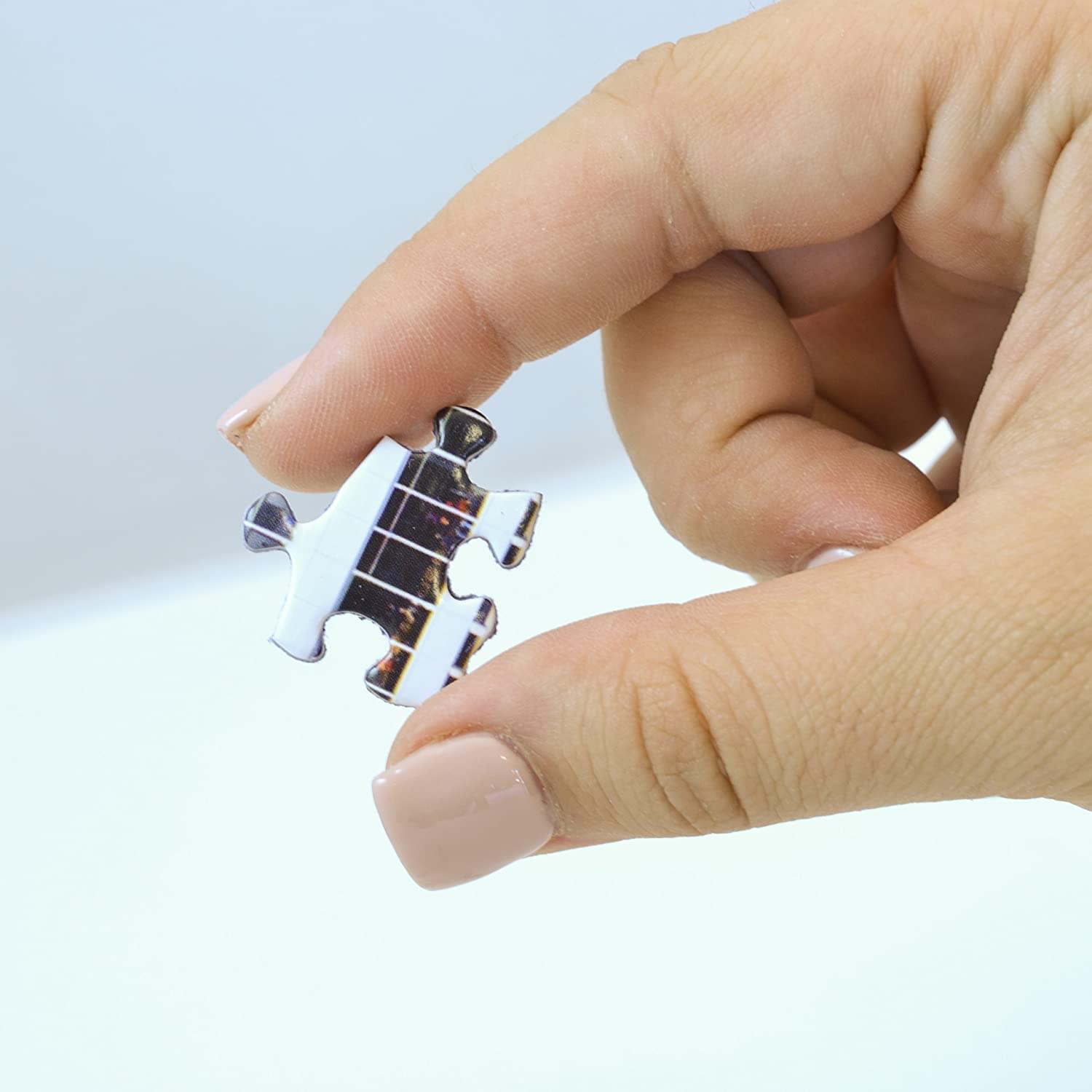 Atlanta Falcons Stadium NFL 1000 Piece Panoramic Jigsaw Puzzle