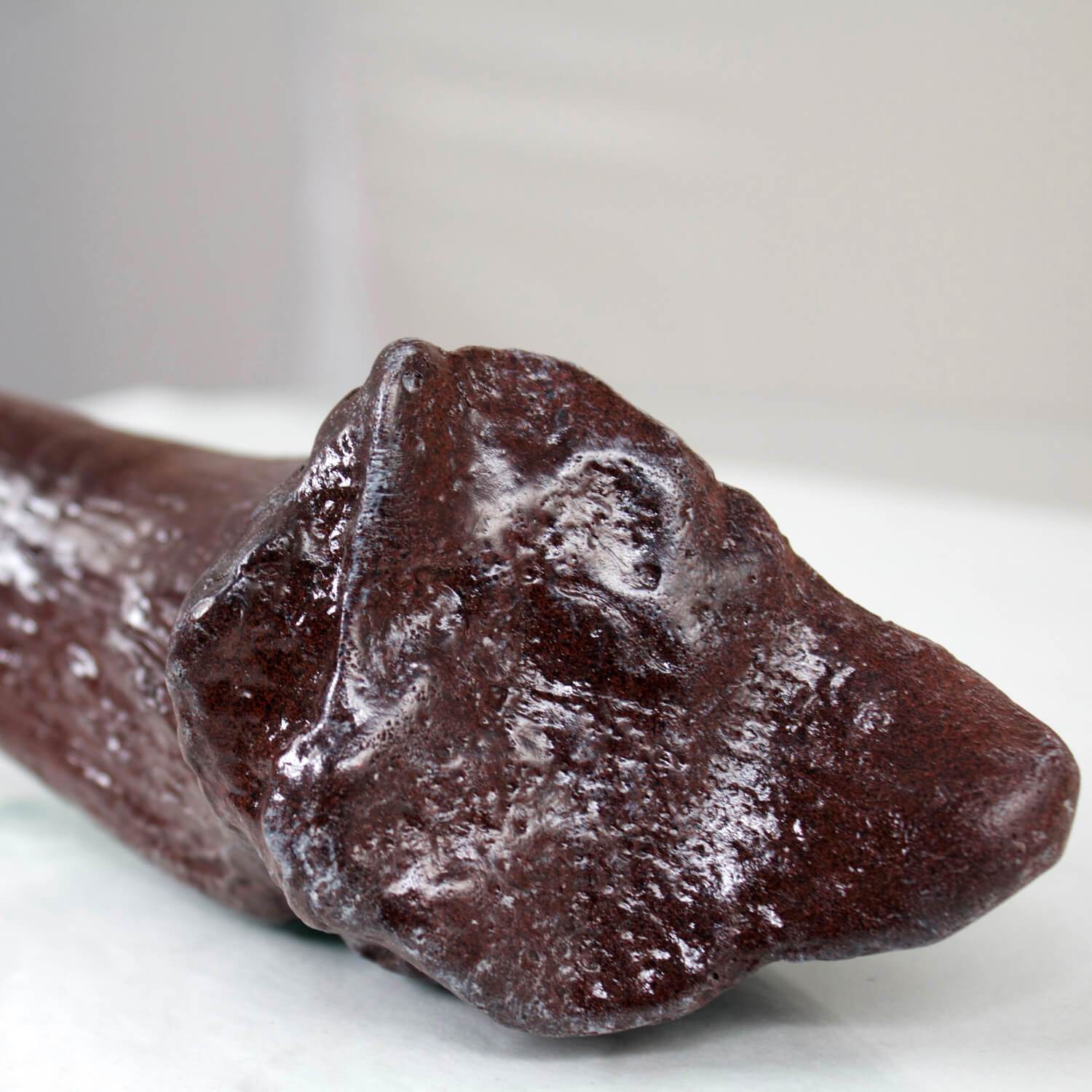 Allosaurus Toe Claw Resin Fossil Replica