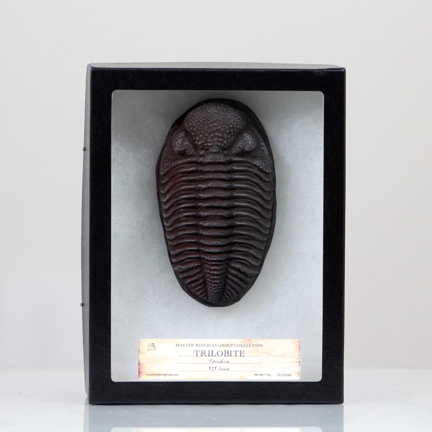 Trilobite shop 2025