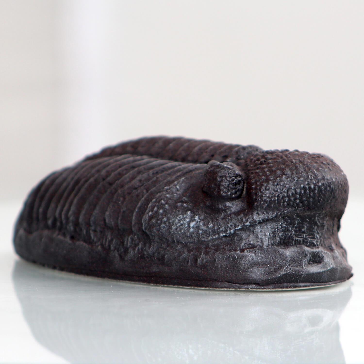 Trilobite Magnet Resin Fossil Replica