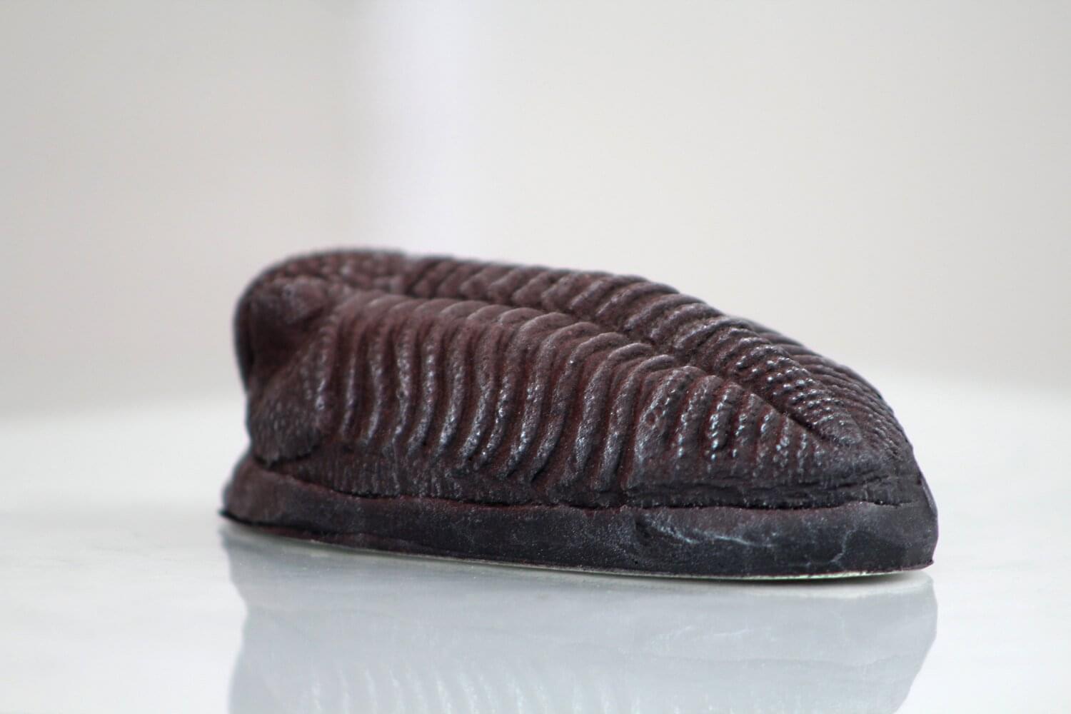Trilobite Magnet Resin Fossil Replica