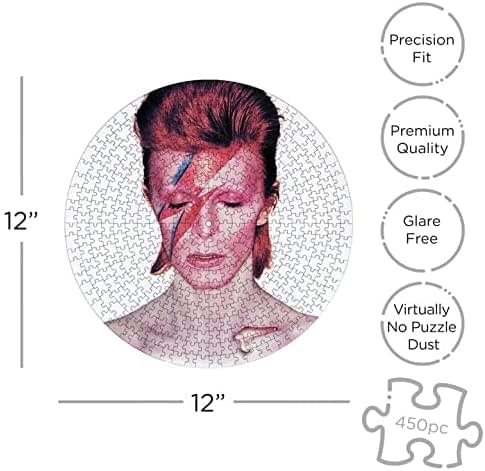 David Bowie Aladdine Sane 450 Piece Record Disc Jigsaw Puzzle