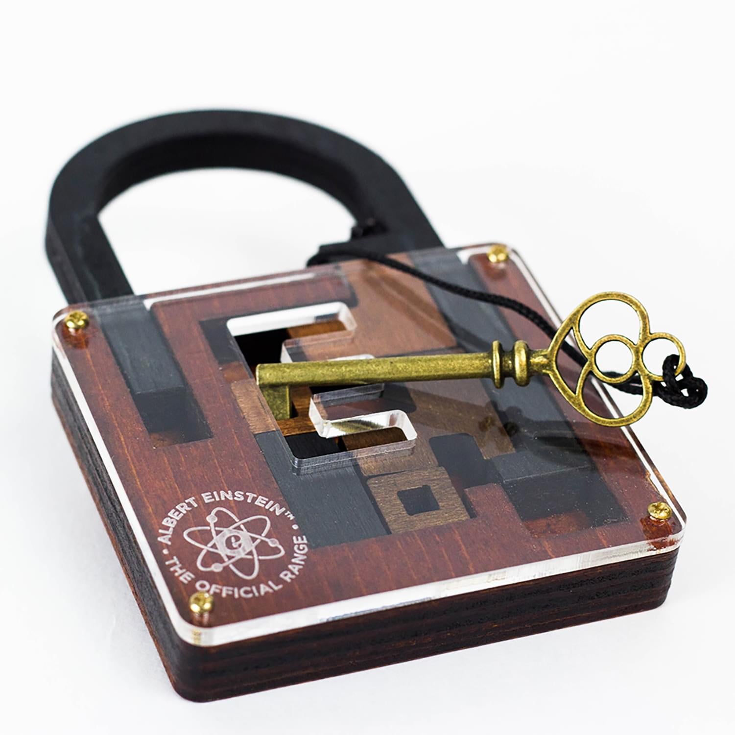Einsteins Lock 3D Brain Teaser Puzzle