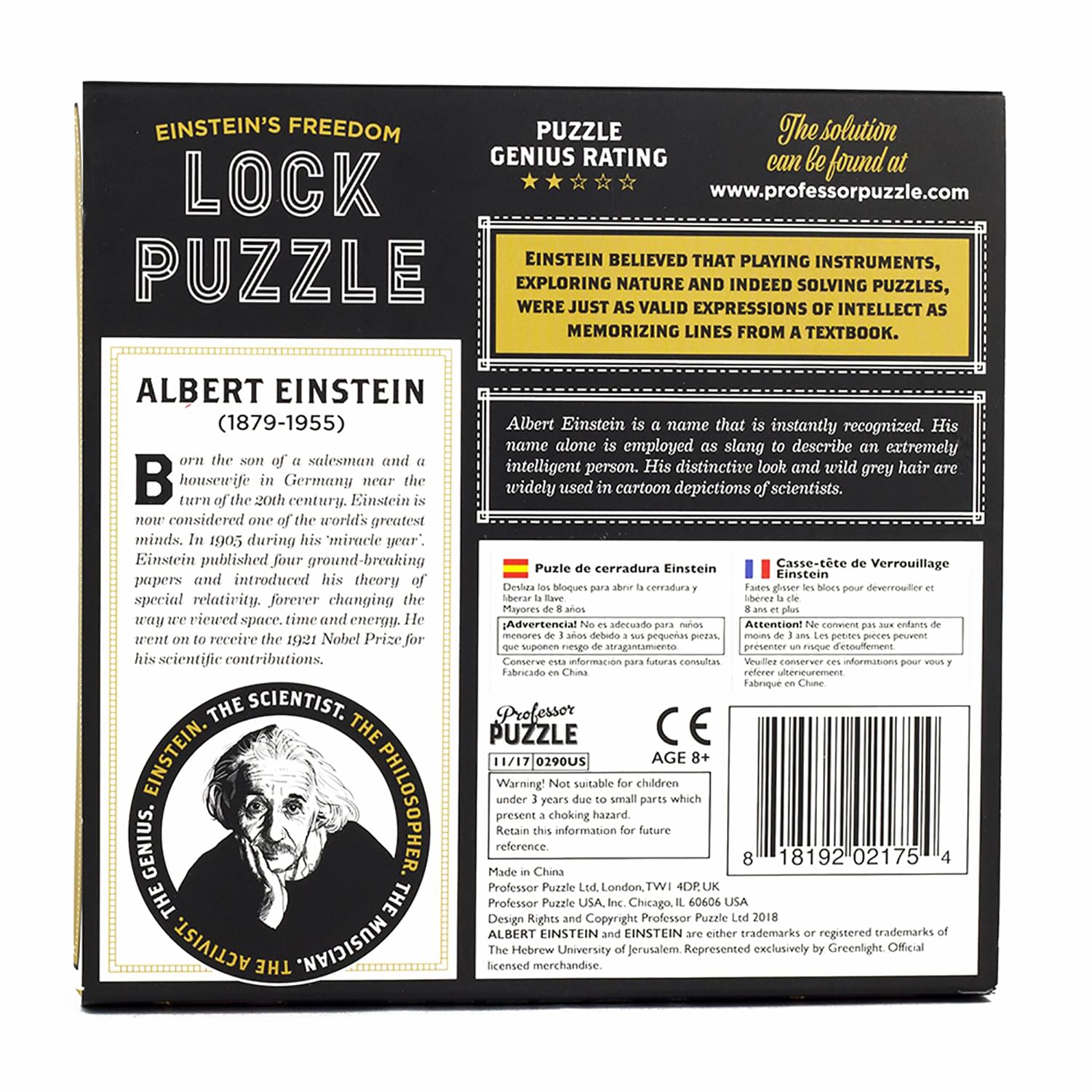 Einsteins Lock 3D Brain Teaser Puzzle