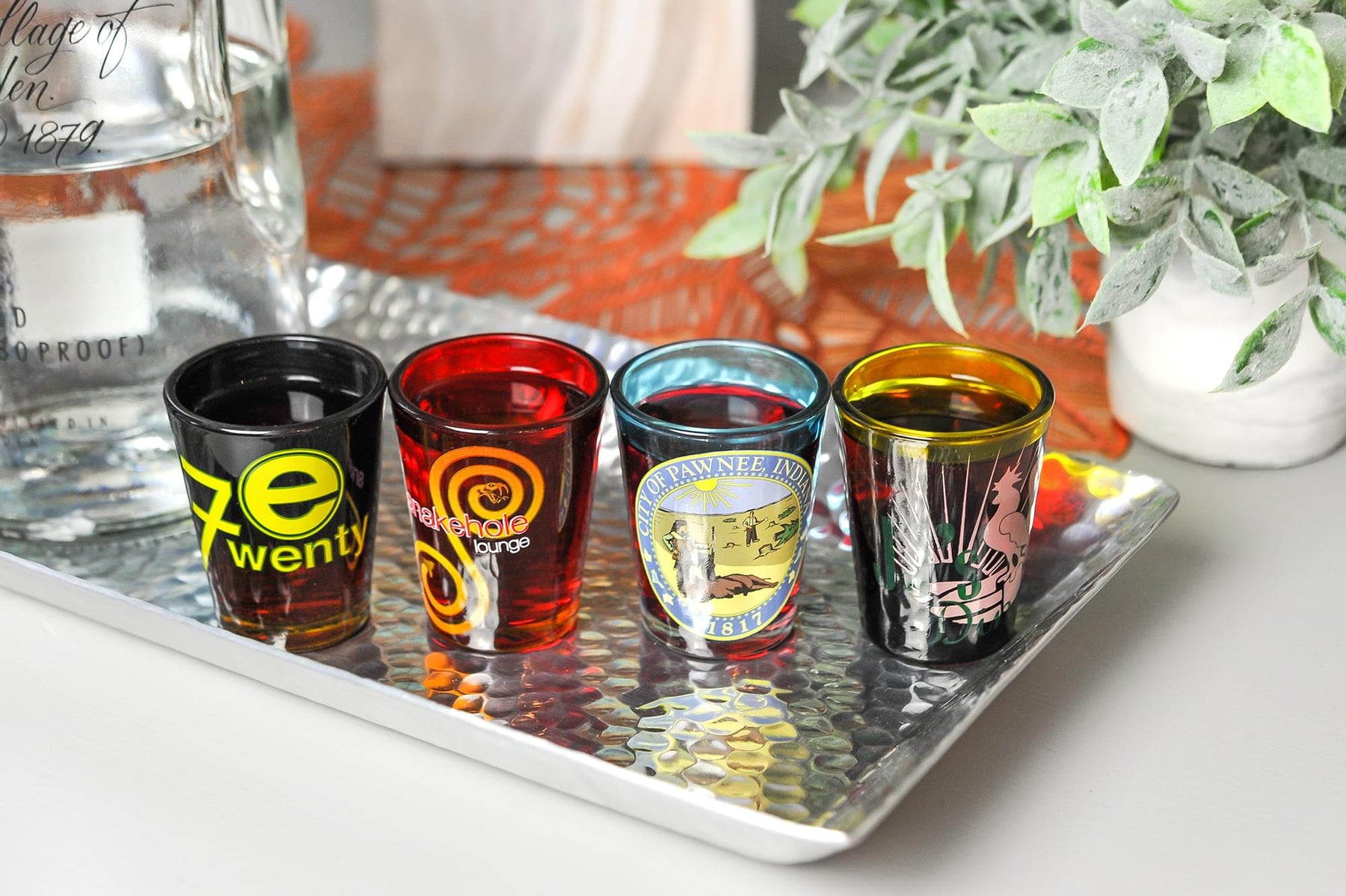 Parks and Recreation Location Logos 4 Piece Shot Glass Set
