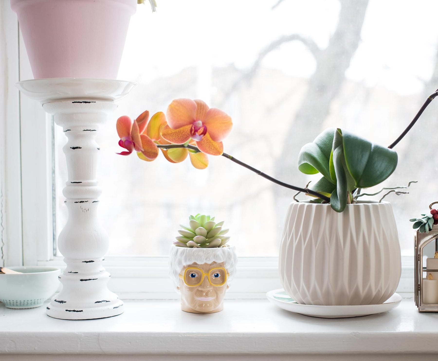 The Golden Girls Sophia Face Mini Ceramic Planter With Faux Succulent | 3 Inches