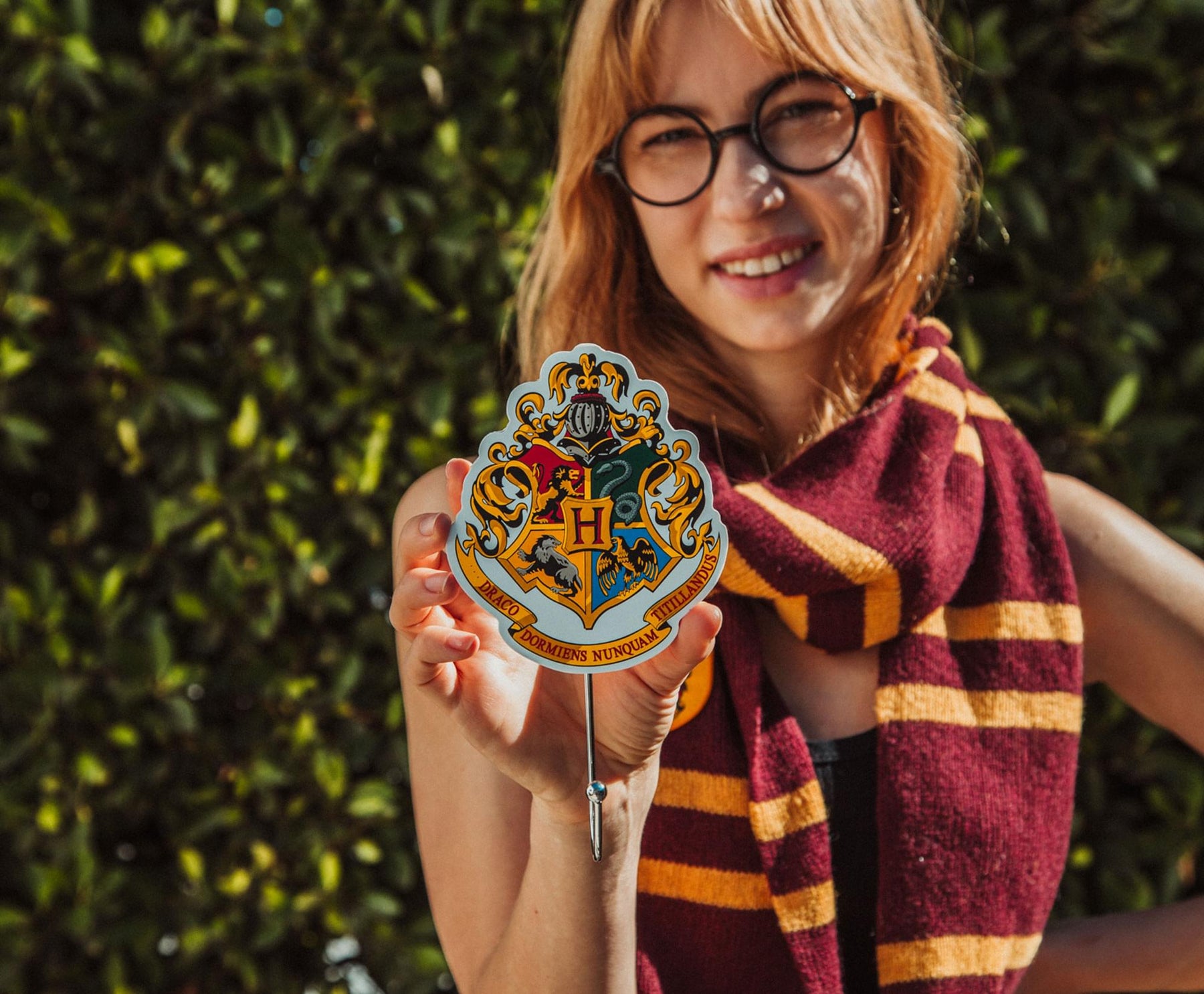 Harry Potter Icons Die-Cut Coat Hanger Wall Hooks | Set of 3
