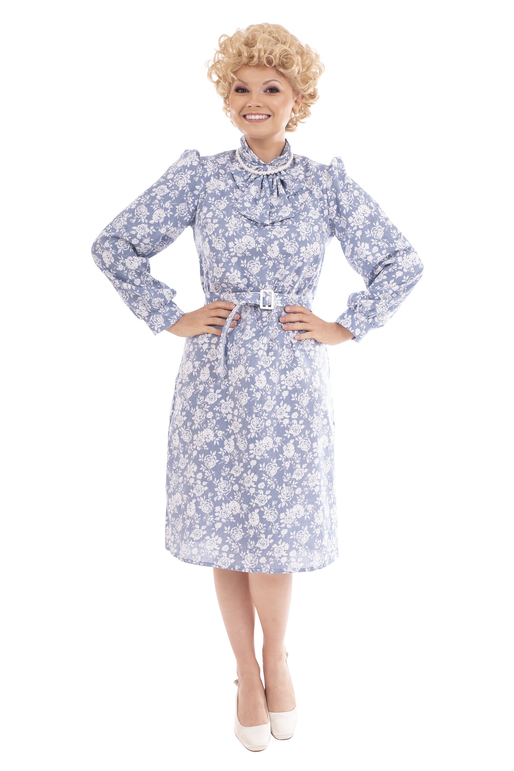 Halloween Toynk Golden Girls Rose Costume | Officially Licensed | Adult Size Small, Women's, Blue