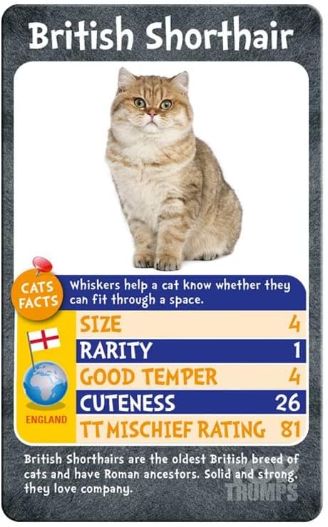 Cats Top Trumps Card Game